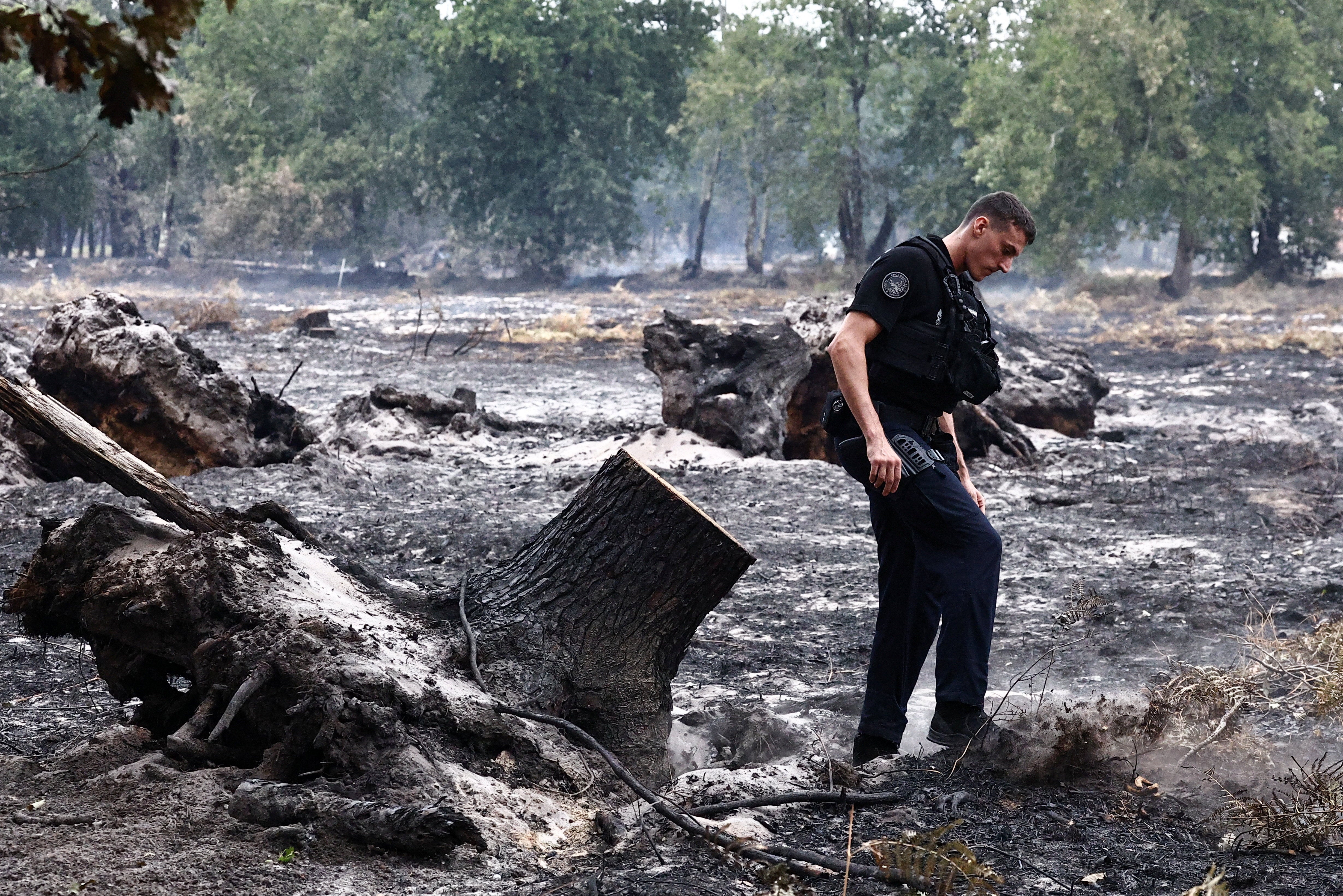 A gendarme covers a small hot spot with soil to prevent any risk of reignition during a patrol, as wildfires rage across the Gironde region amid worsening drought conditions following a heatwave and water shortages across much of the country, in Le Porge, France