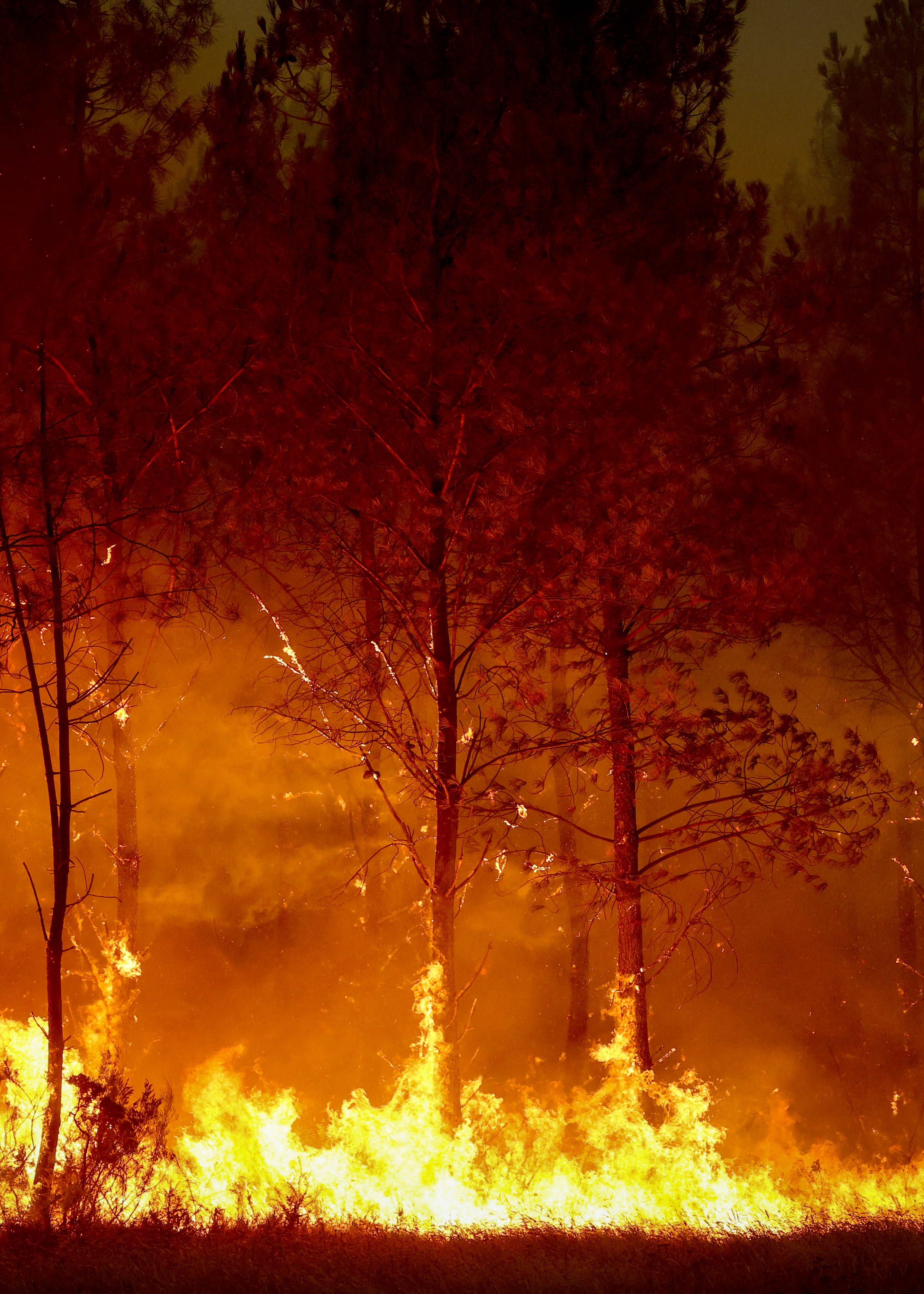A forest fire rages in Saint-Jean-d'Illac, some 30km from Bordeaux (AFP/Getty)