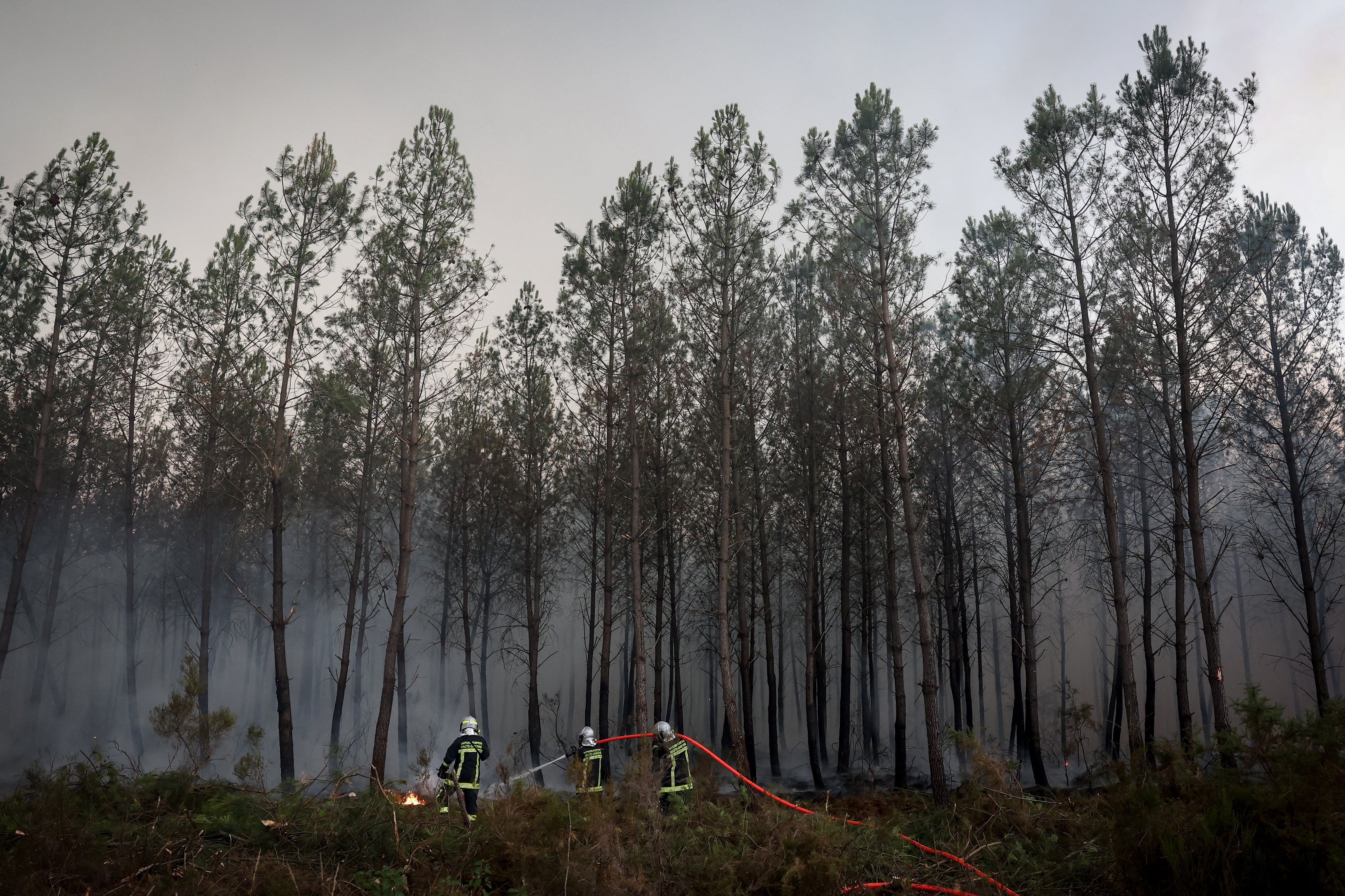 Firefighters battle a forest fire in Saint-Jean-d'Illac, France (AFP/Getty)