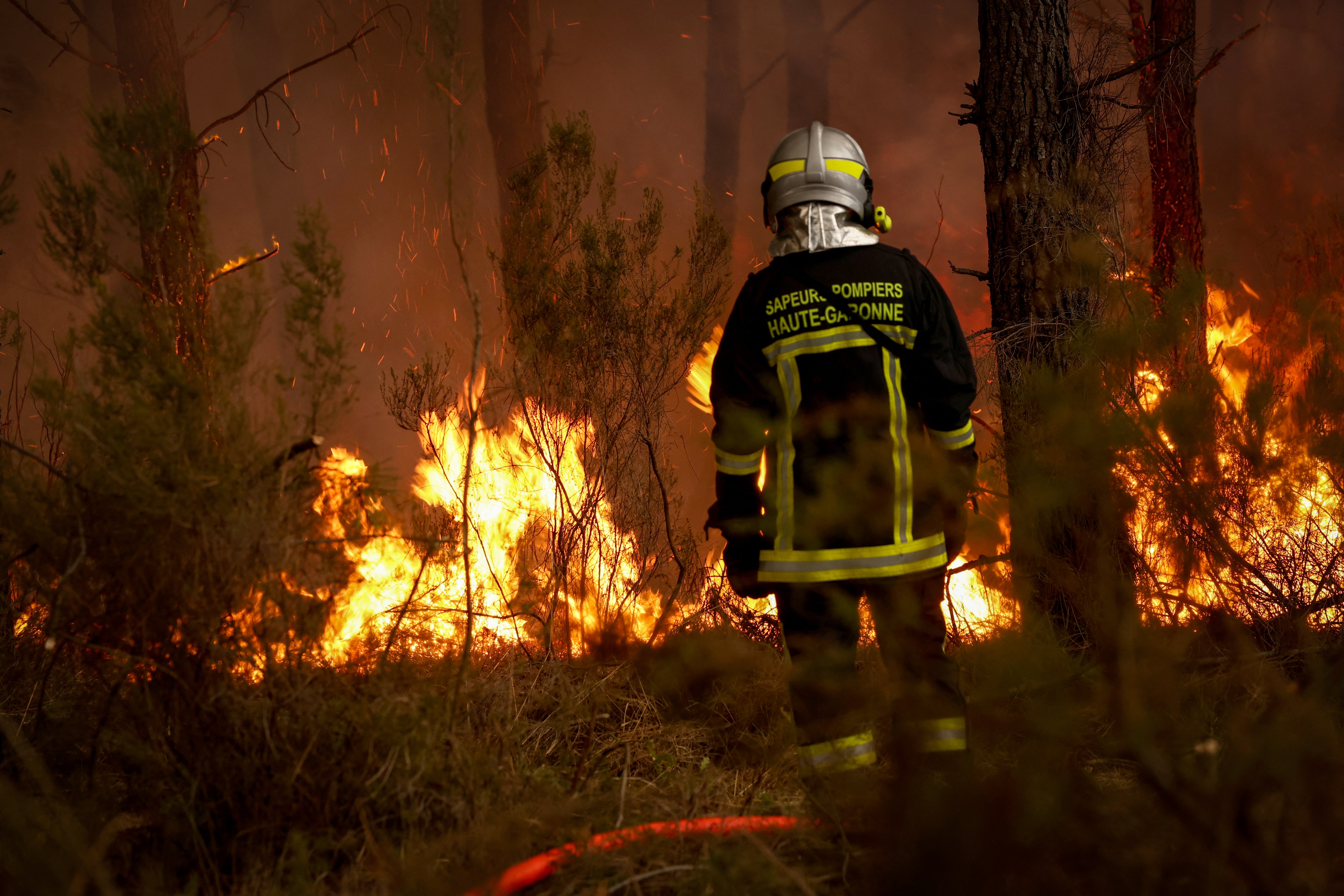 A firefighter stands before flames as a forest fire rages in Saint-Jean-d'Illac (AFP/Getty)