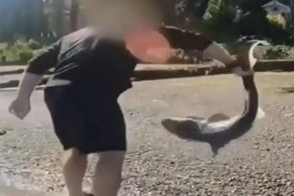Man accused of filming himself &lsquo;wrestling&rsquo; sharks is arrested