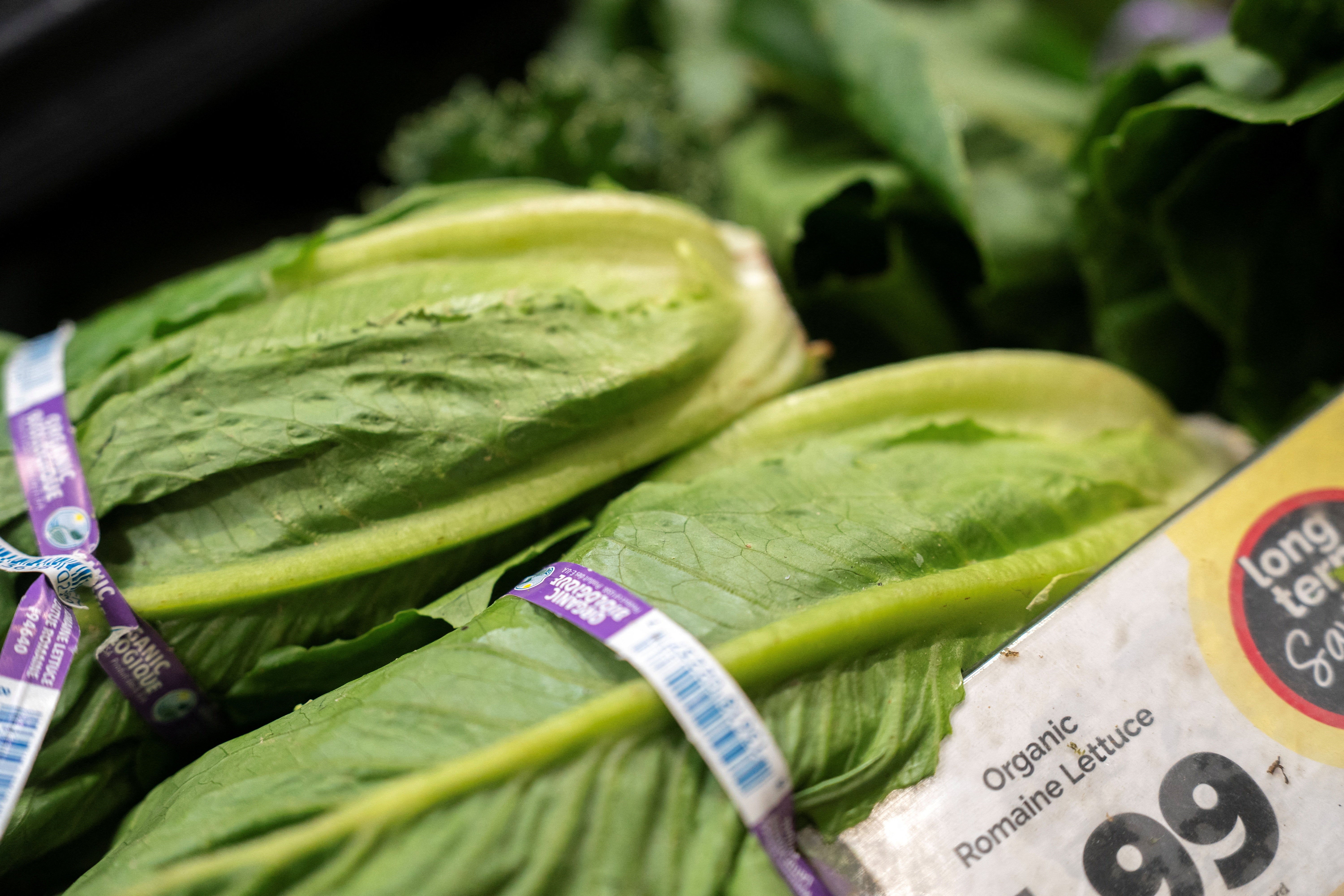 The U.S. is also battling a major outbreak of a parasitic illness linked to contaminated lettuce (Reuters)