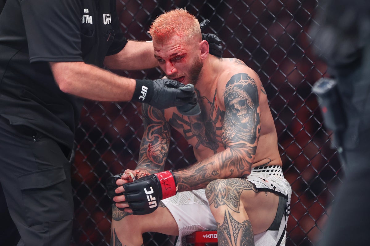 When is the next UFC event?