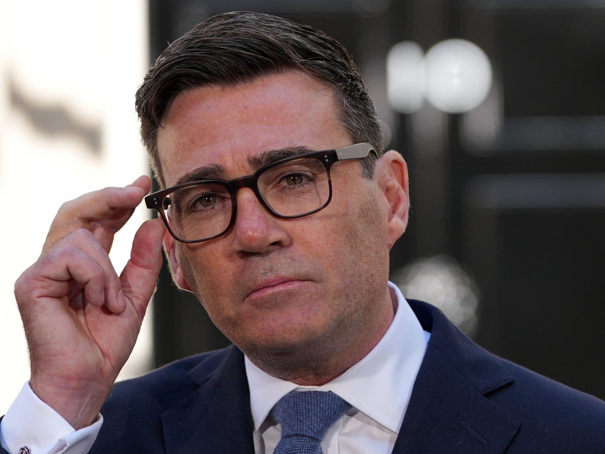 Brexit back on the table under Burnham – but those who want to rejoin shouldn't get their hopes up | The Independent