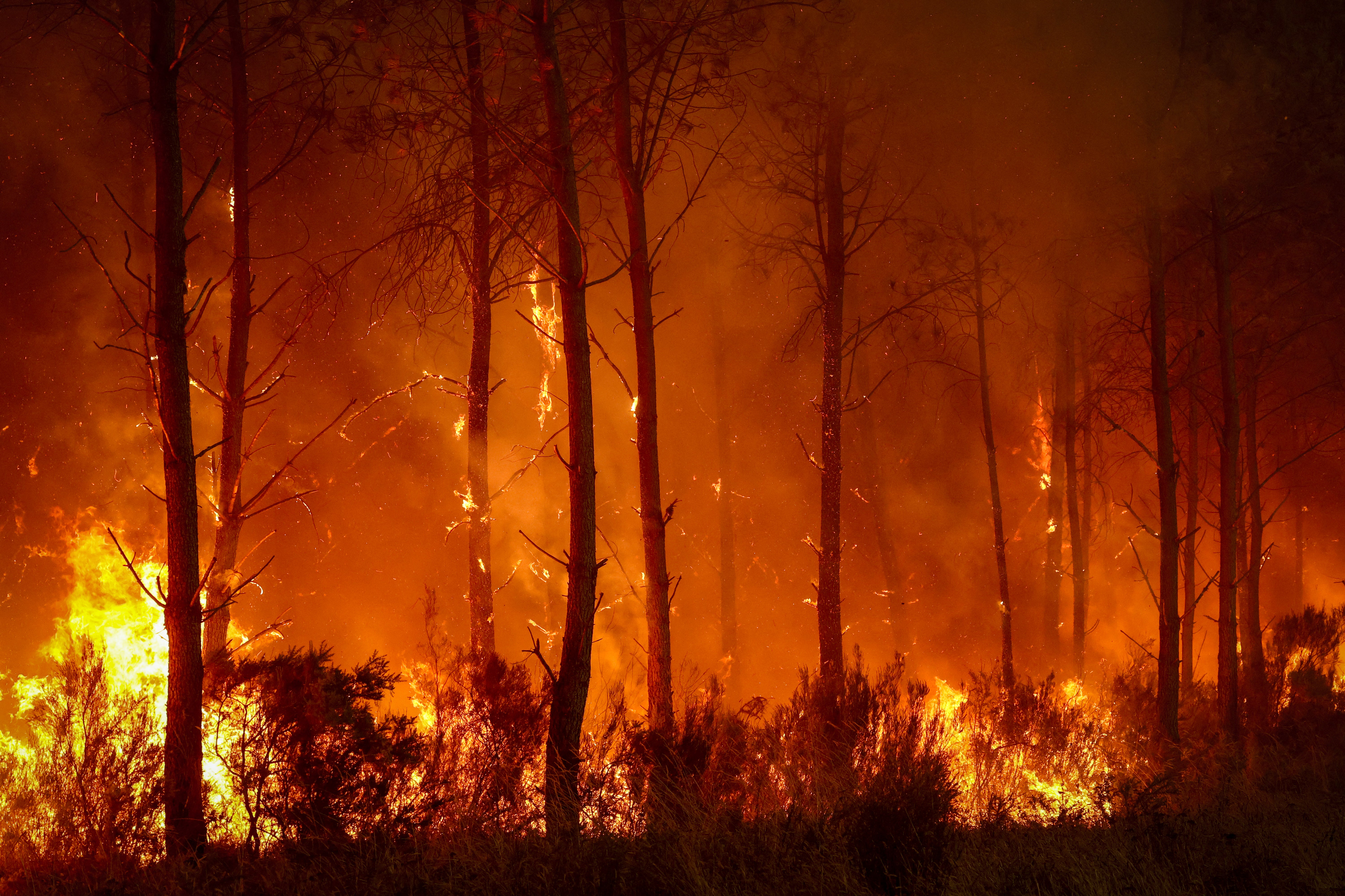 The 220,000 people evacuated due to the massive wildfire in France's Gironde region will not be able to return home ‘until the fire has been brought under control’, the local prefect said