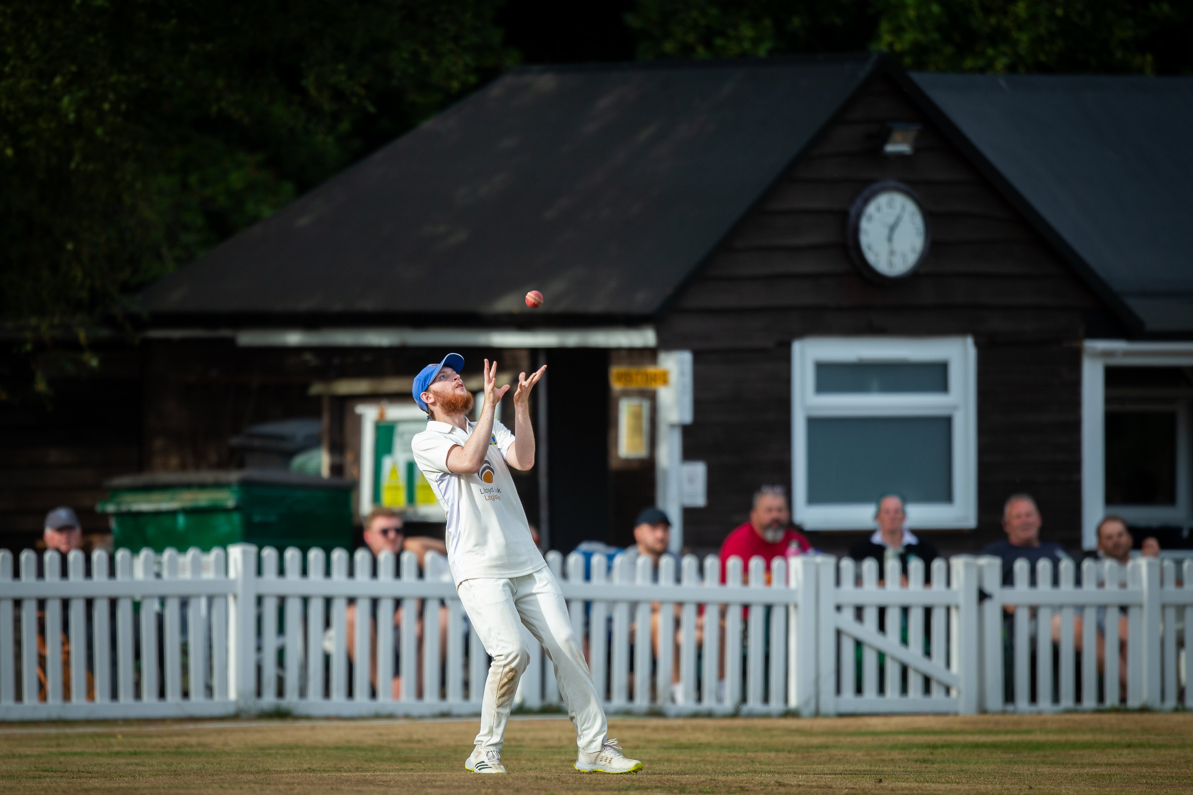 Row erupts in New Forest over cricket club’s artificial grass plan