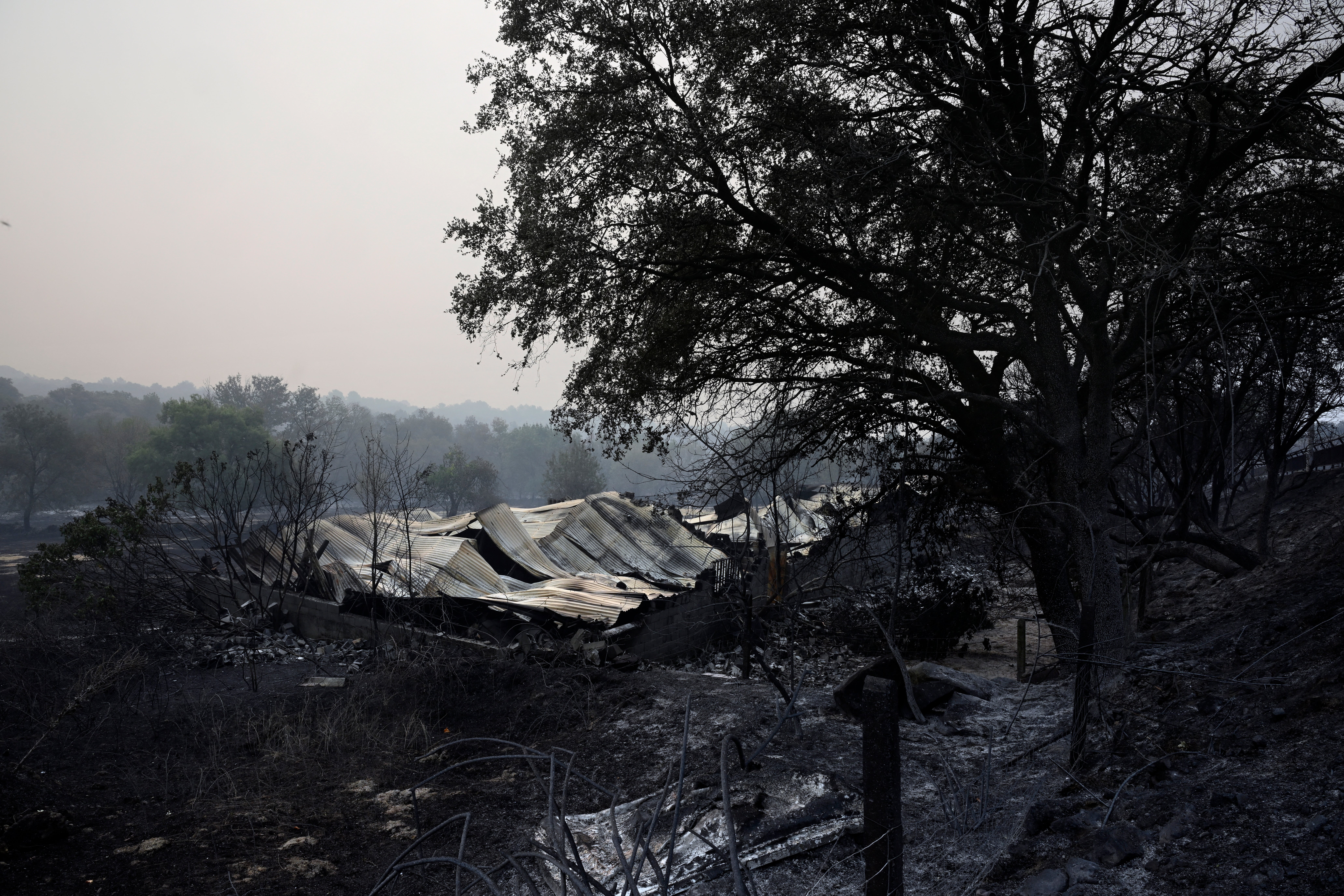 The ruins of a burnt-out warehouse following a wildfire in Casavieja, 100km south-west of Madrid (AFP/Getty)