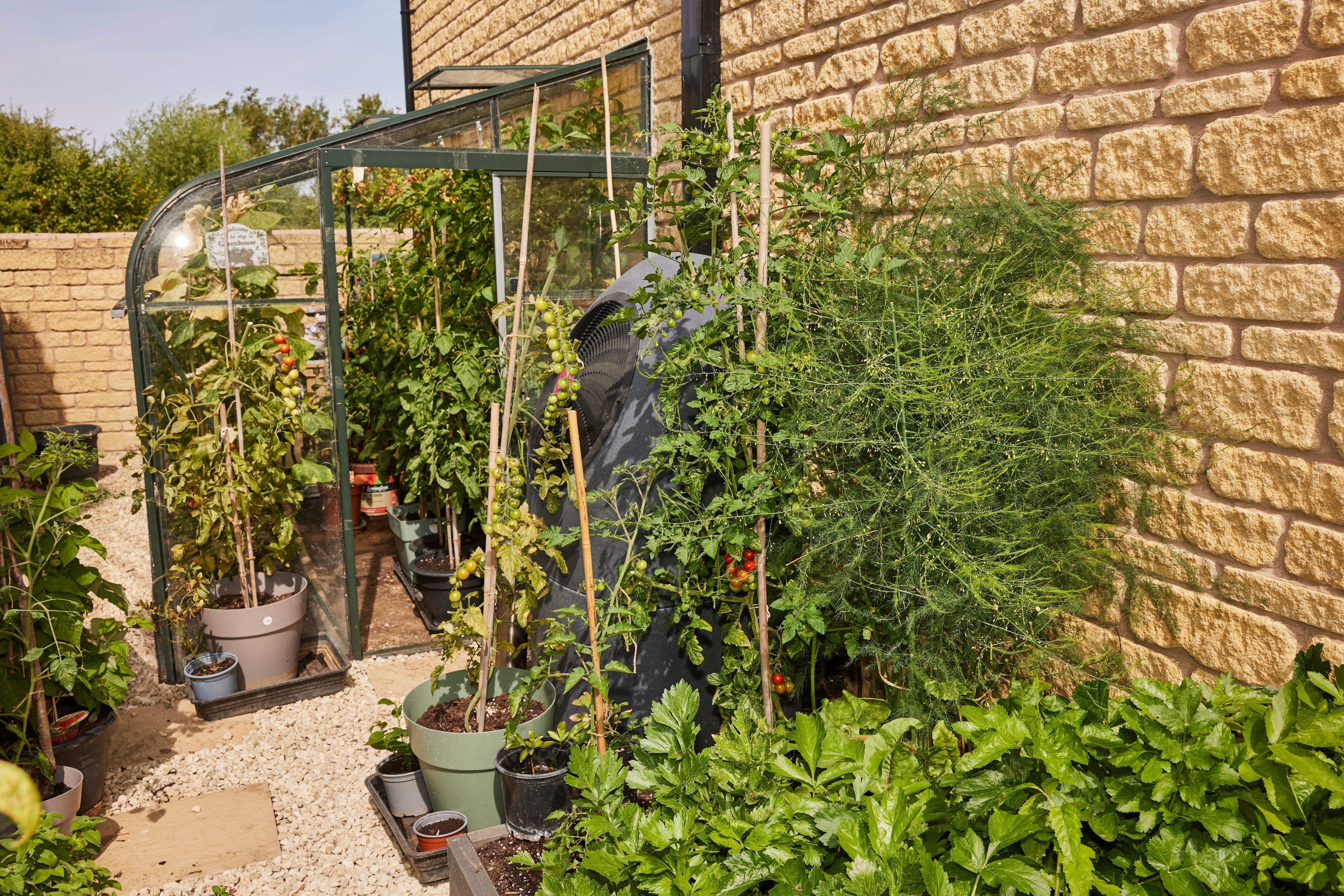 The Davé family value self-sufficiency, and have cleverly positioned their heat pump so that it acts as a cool-air conditioning system for their greenhouse