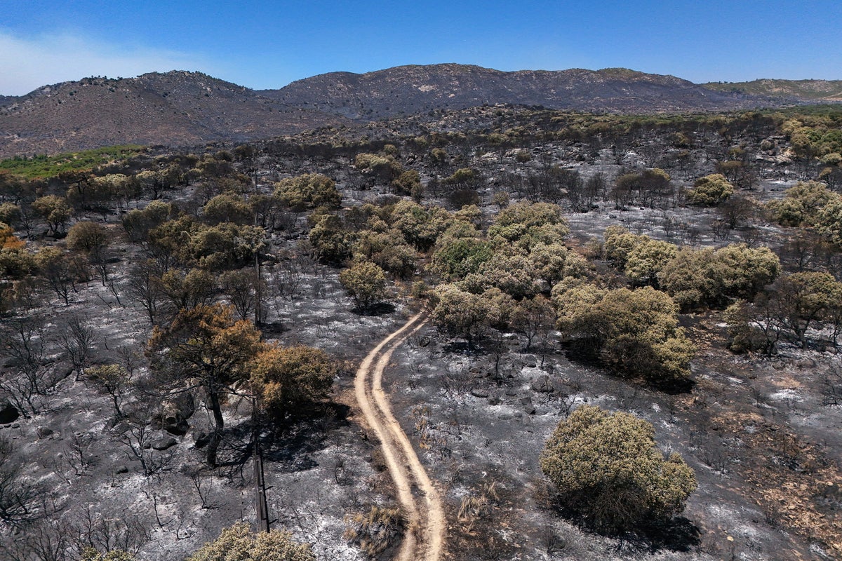 Europe is on fire - will the continent’s climate change deniers finally wake up?
