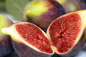RHS fig 'Brown Turkey'