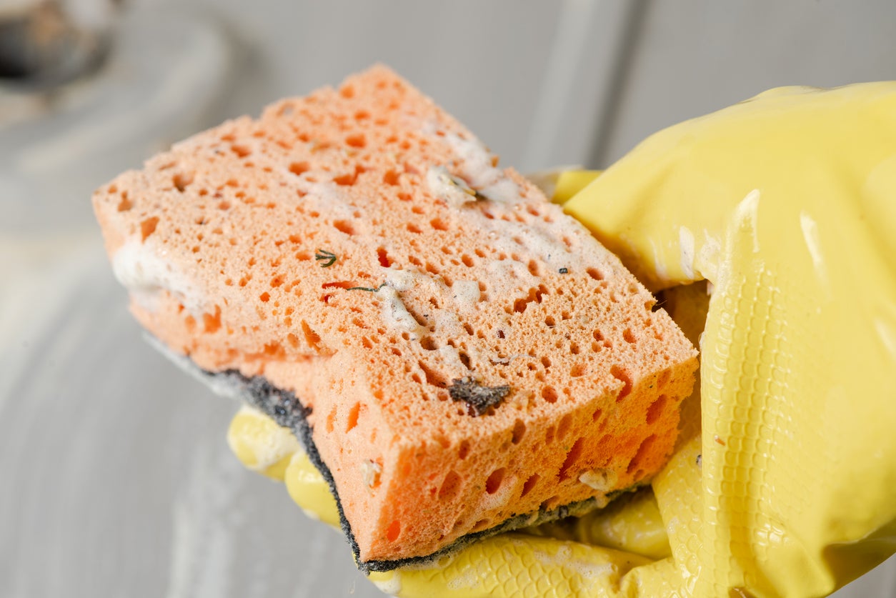 Scientists found bacteria linked to food poisoning can survive for weeks inside kitchen sponges