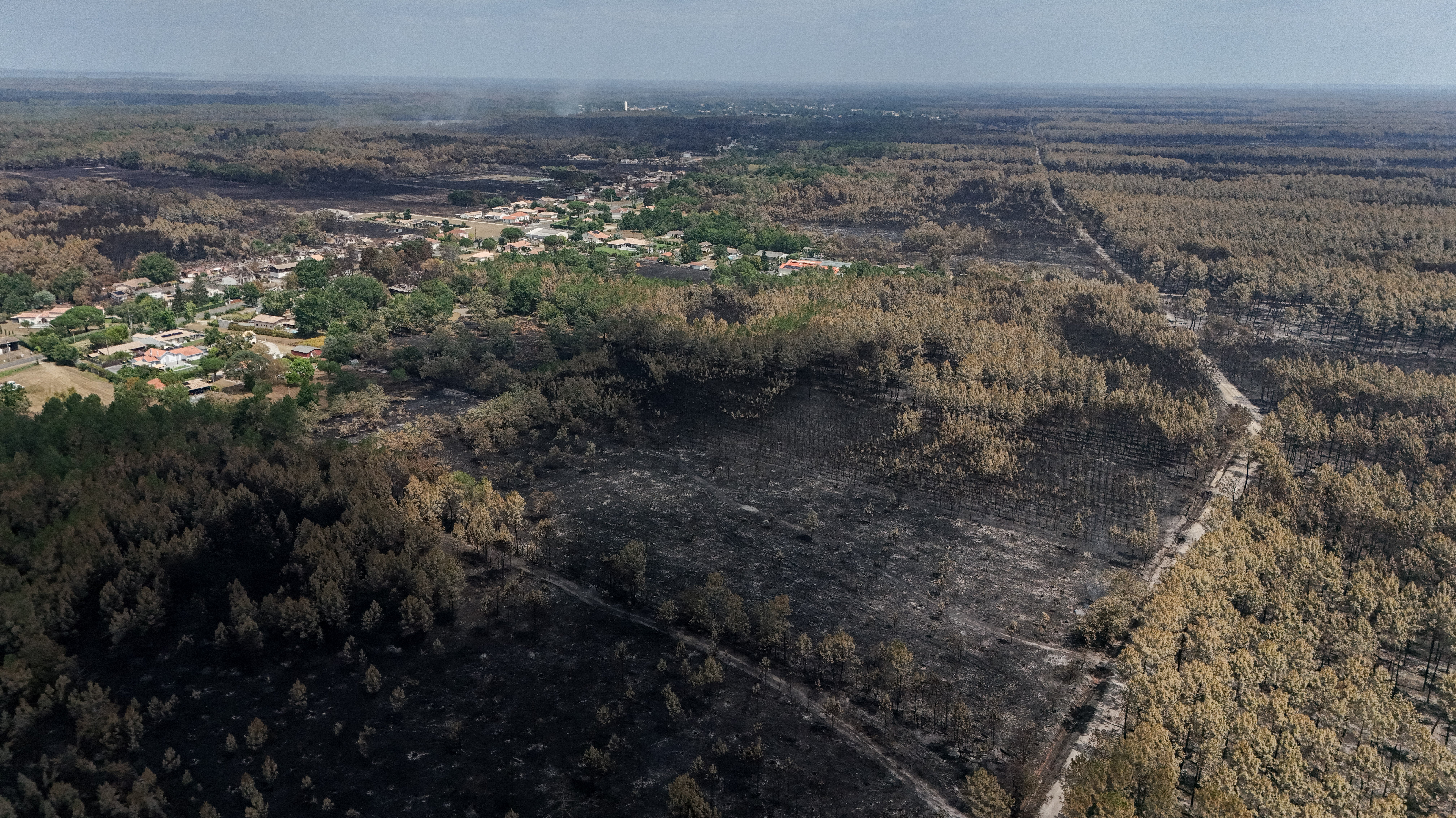 Wildfires in Gironde have burnt 42,000 hectares of land so far, according to France's interior ministry (AFP/Getty)