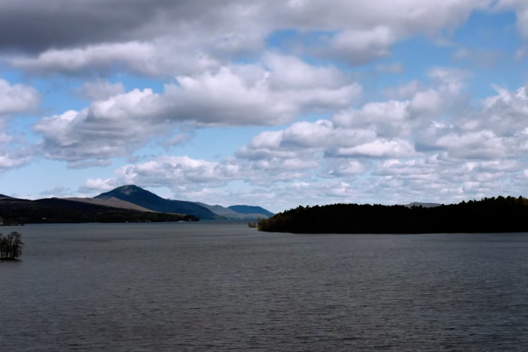 The transmissible cancer has been detected in brown bullhead catfish swimming in Lake Memphremagog (University of Vermont)