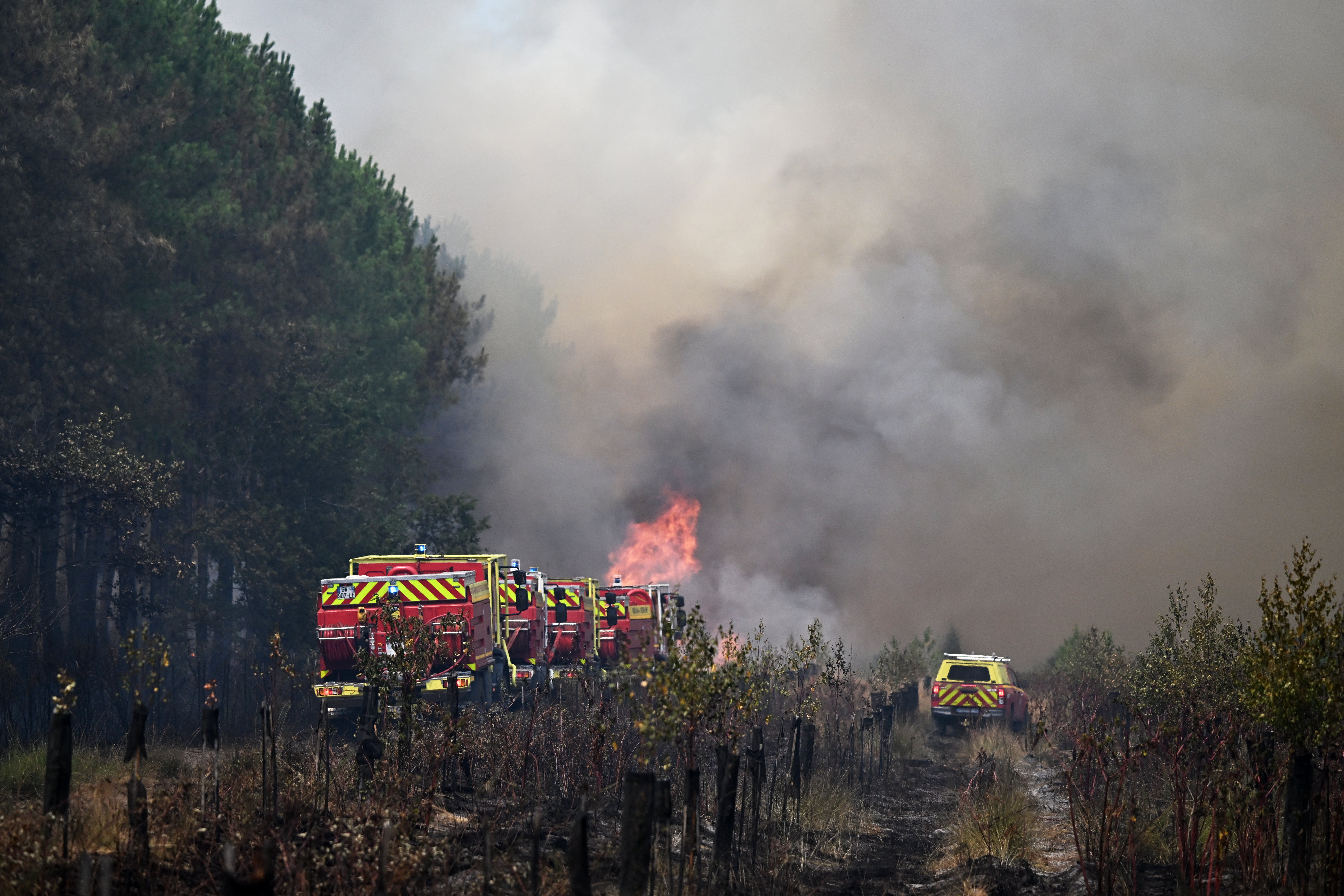 Firefighters tackle a blaze as wildfires rage near Le Las, outside Bordeaux on Monday