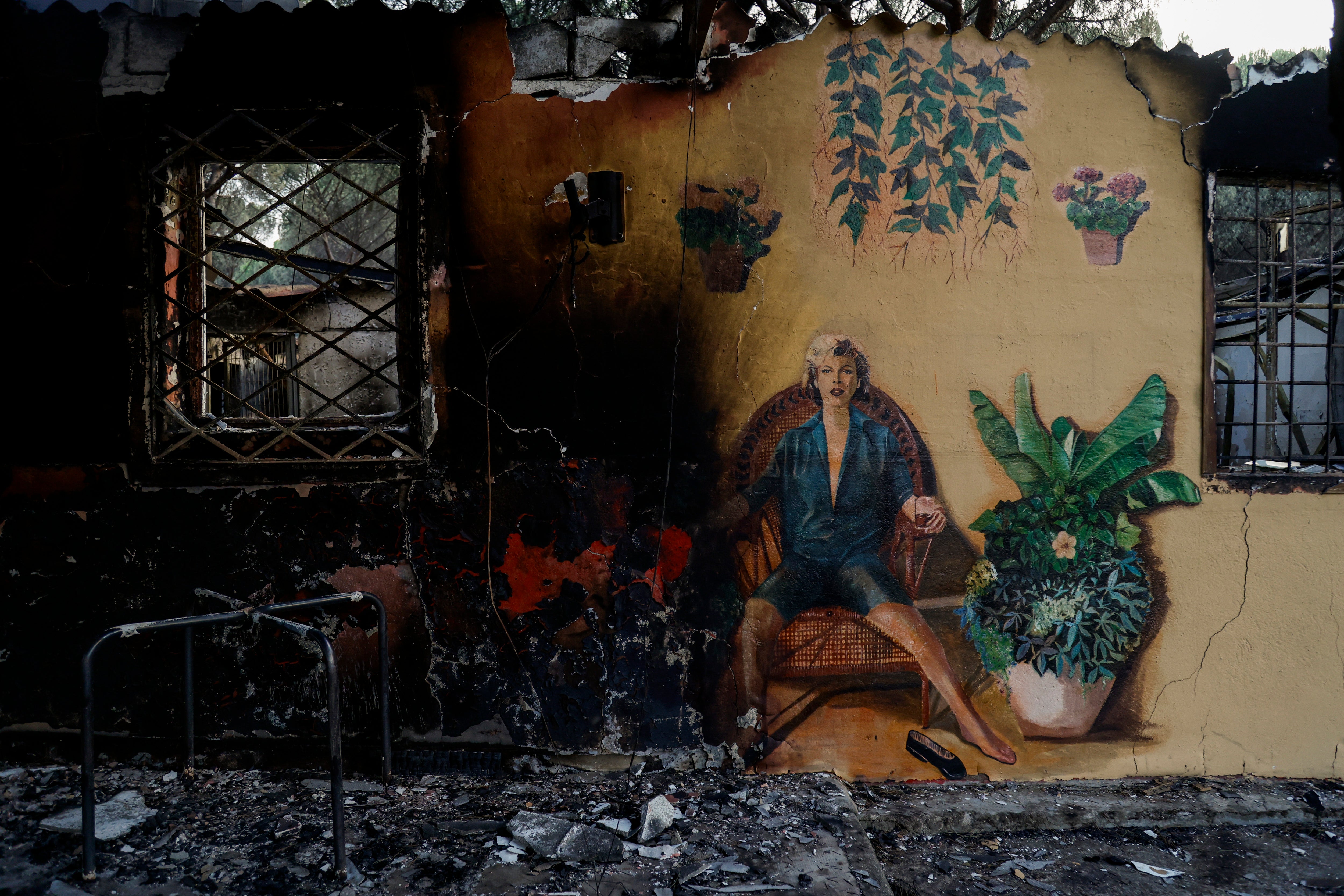 Serengeti bar is burnt out in Pantano de San Juan following wildfires (Getty)