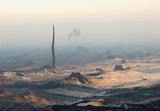 Smoke and fog in a burnt forest affected by a wildfire, near Saumos, Gironde, amid drought conditions following a heatwave and water shortages across much of France, July 28, 2026.
