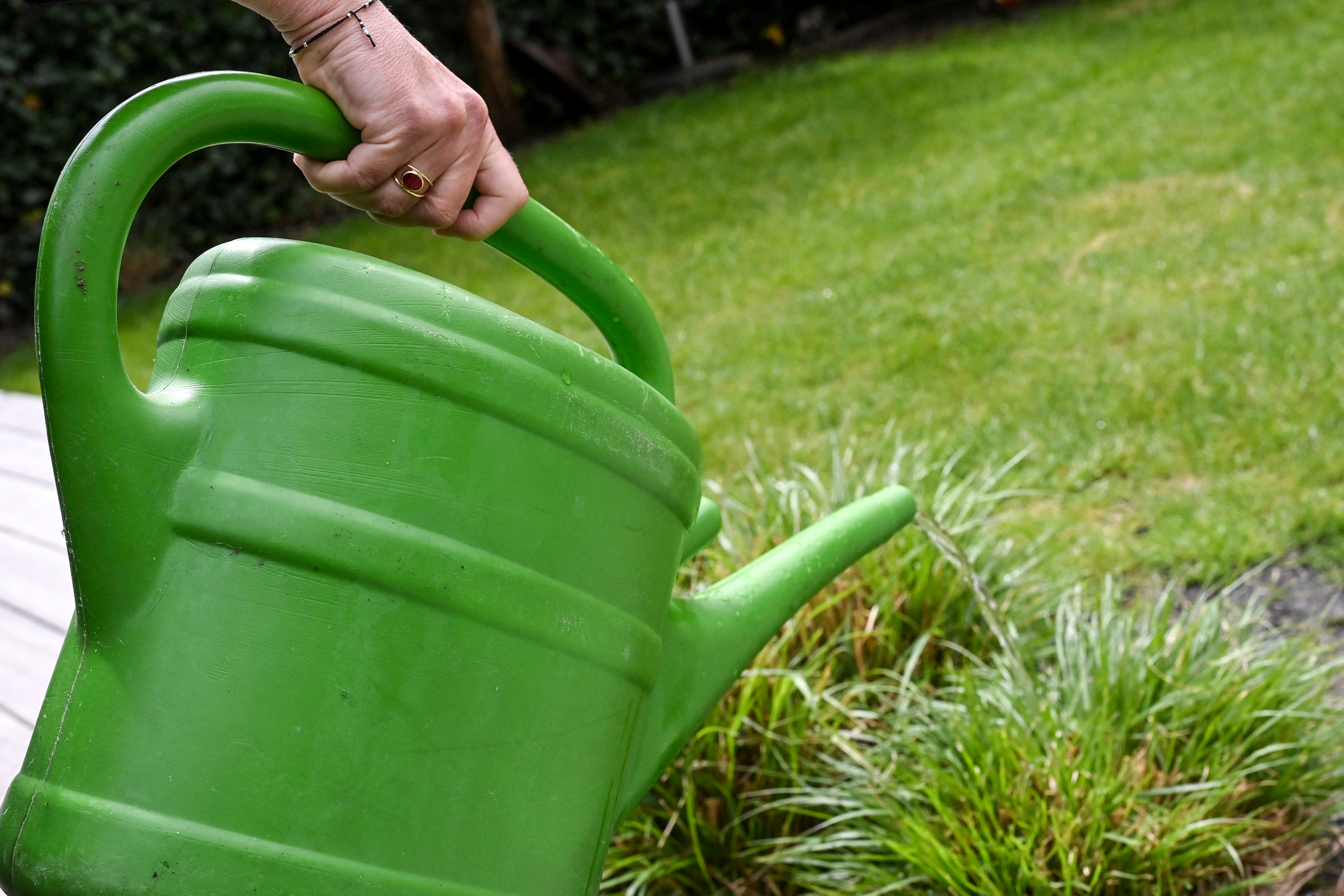 Households subject to a ban can use a watering can, and using a hosepipe is still allowed to water food crops at home or on an allotment when using a watering can is not practical (AFP/Getty)