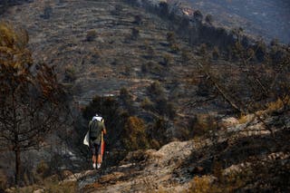 A man looks at damaged vegetation in an area affected by a wildfire in La Vall d'Uixo, Castellon province, Spain, July 28, 2026.