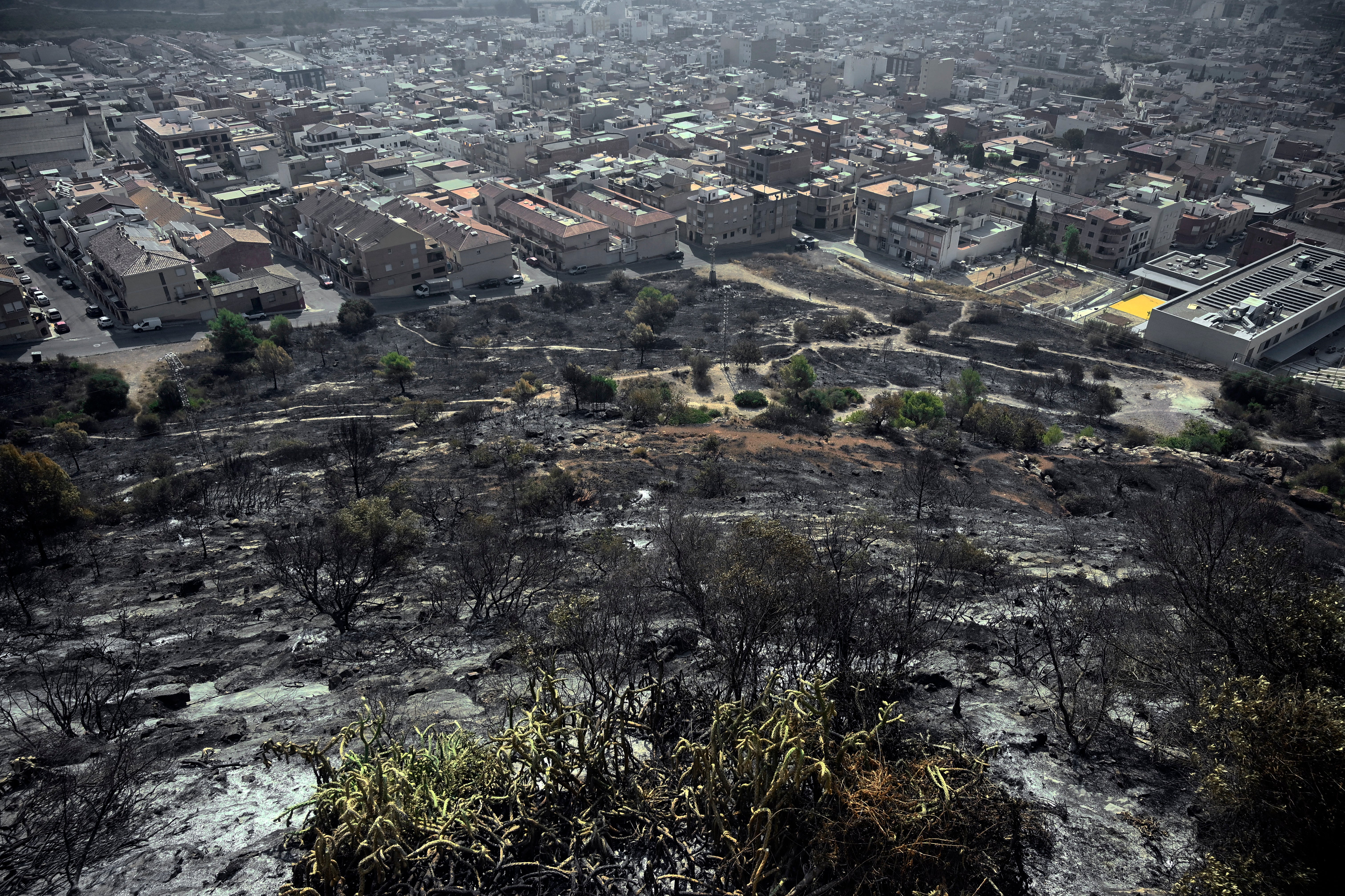 This picture shows a scorched area after a wildfire raged in La Vall d'Uxio, 55 kilometres north-east of Valencia, on July 28, 2026.