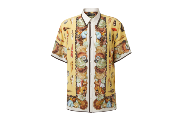  (Dolce&Gabbana)