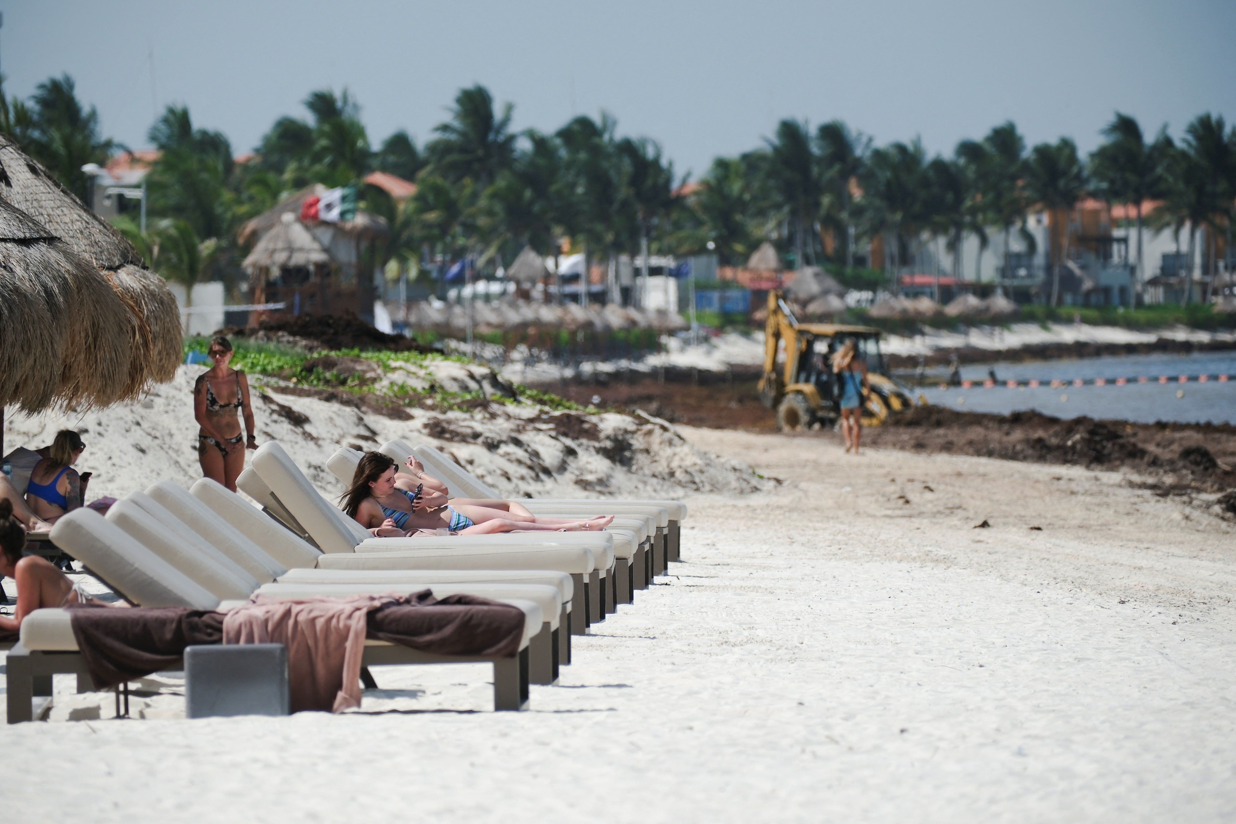 The unprecedented mass of sargassum – a brown seaweed that drifts across the Atlantic in vast mats and is pushed by ocean currents toward Caribbean shorelines in the springtime – has prompted the federal government to prepare an emergency plan to combat the issue