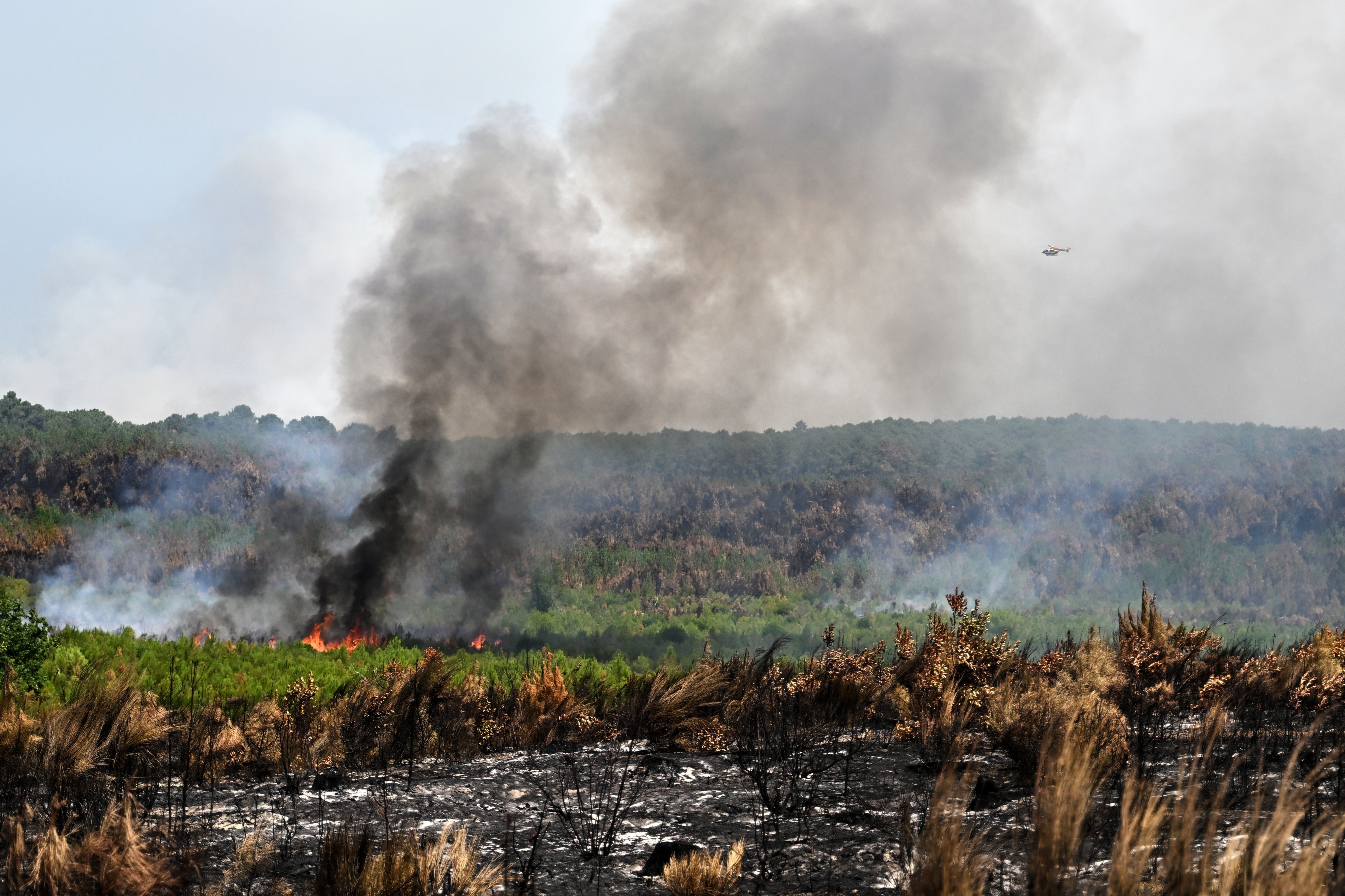 Smoke from the wildfires poses significant health risks (AP)