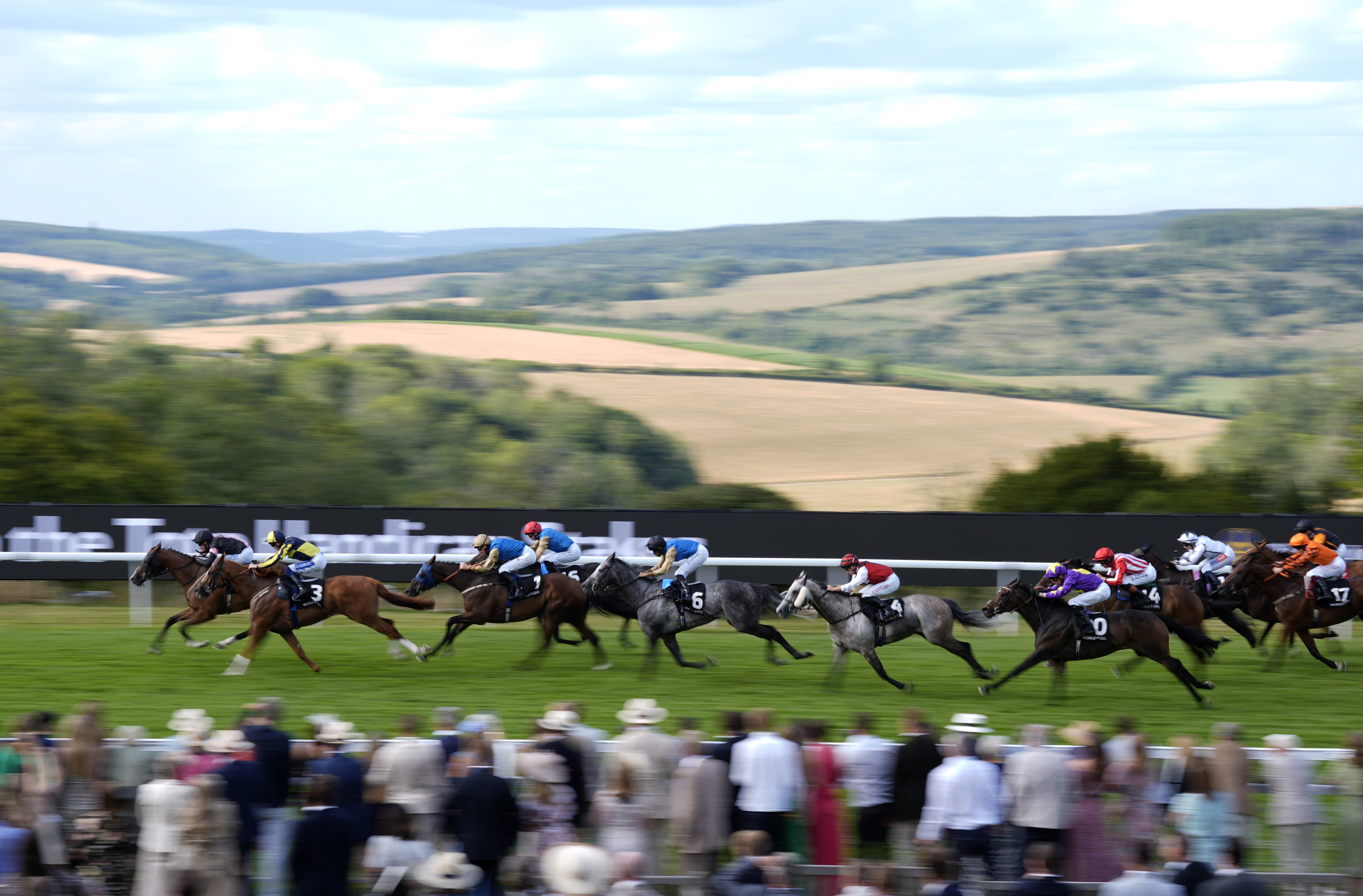 The Sussex Stakes takes centre stage at Goodwood (Andrew Matthews/PA)