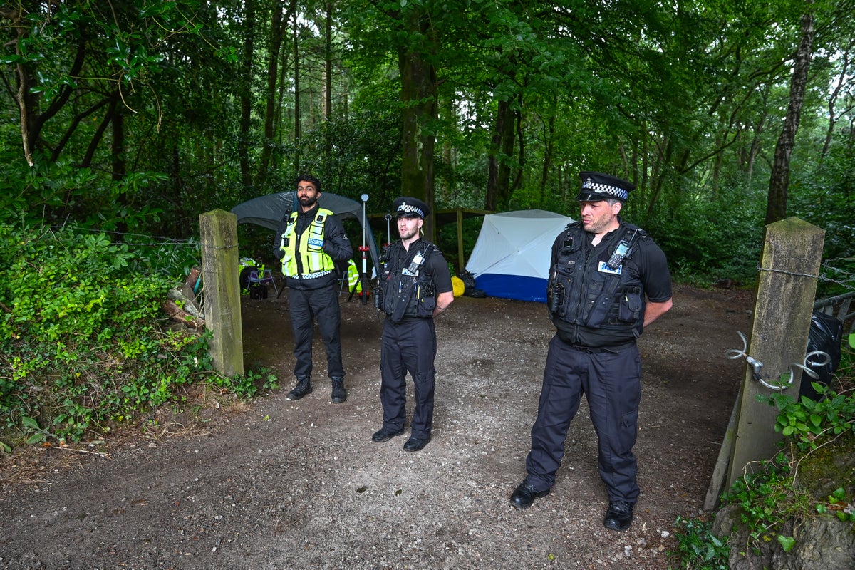 Dexter fan serial killer guilty of double murder after men found dismembered in Cornish woods