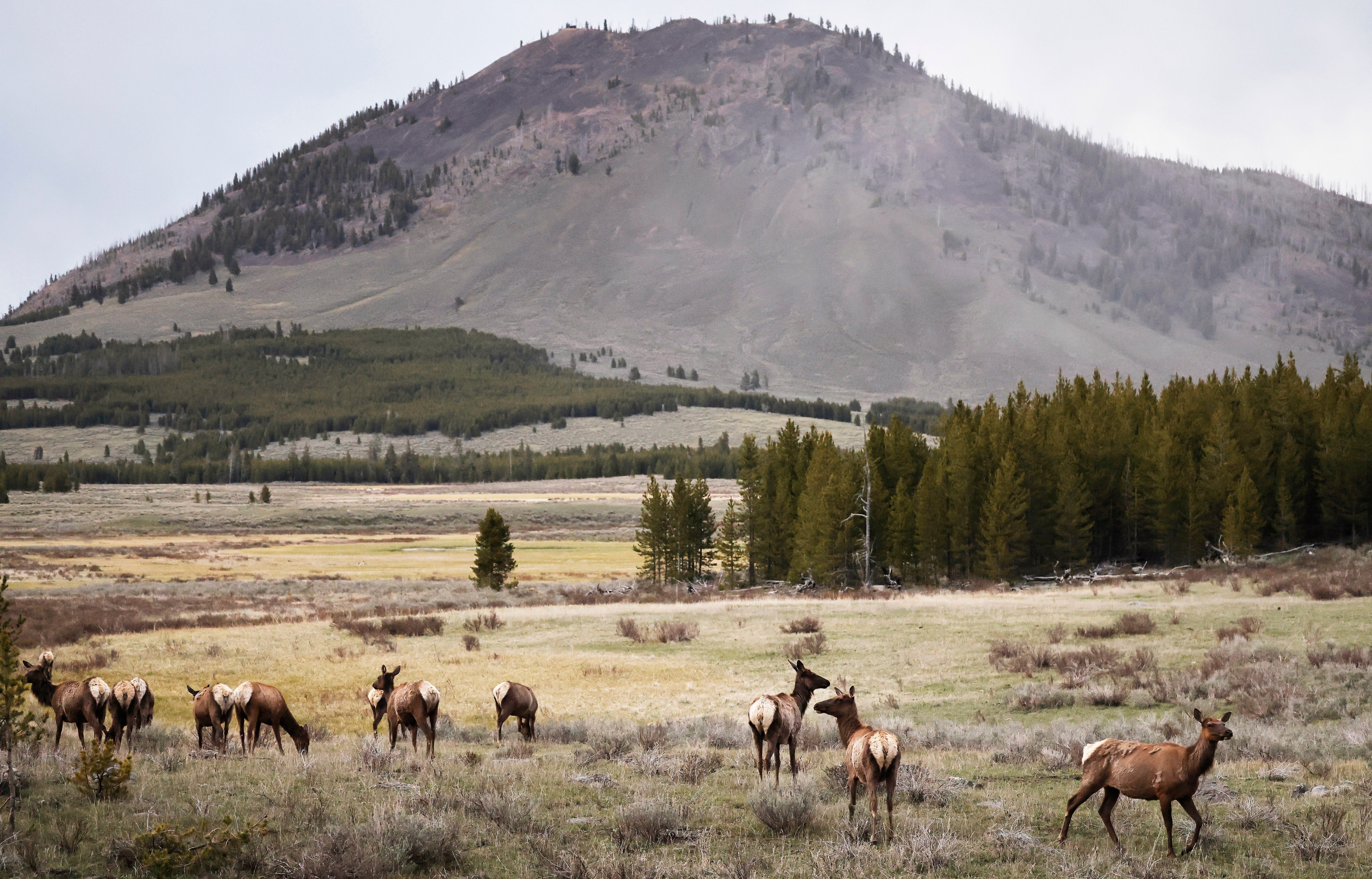 If you aren’t planning on visiting North Dakota anytime soon, there are dozens of other national parks to choose from, including the famed Yellowstone National Park