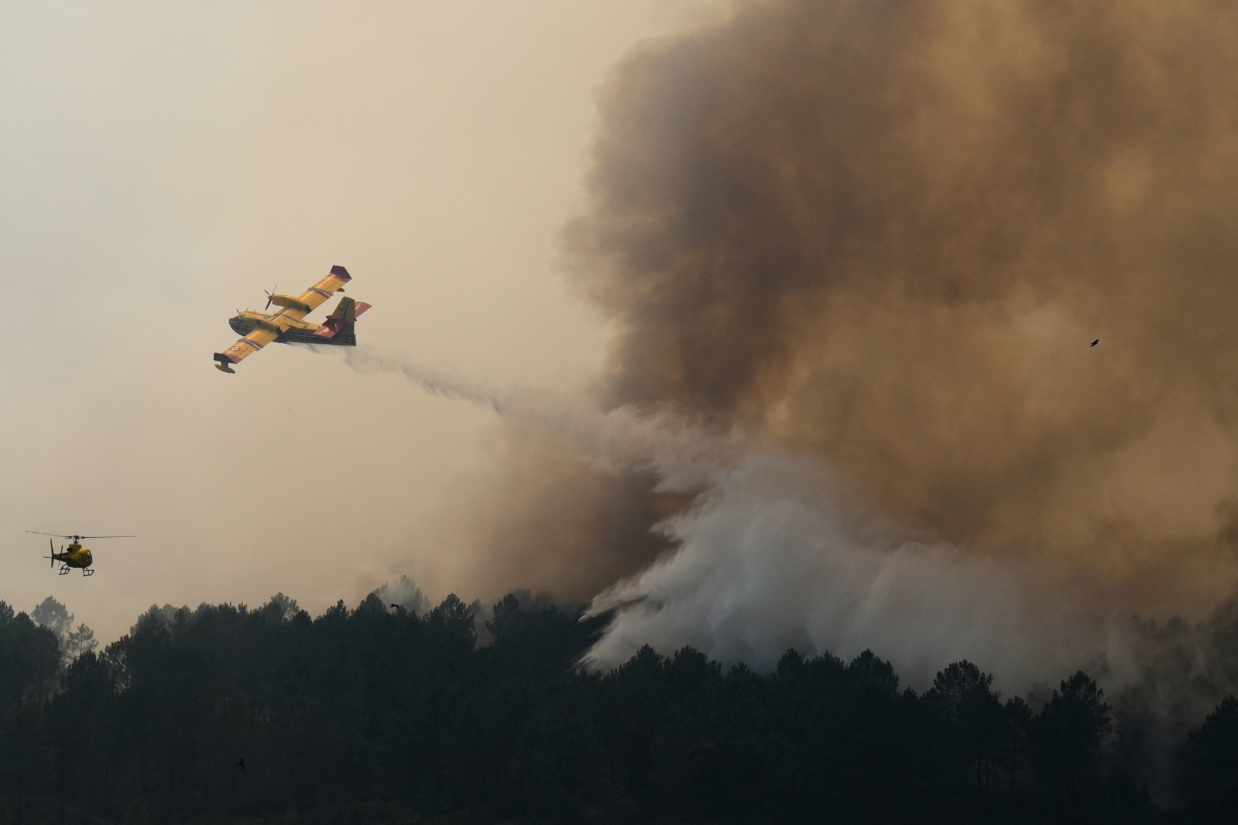 An aircraft drops a load of water over a fire burning near Saint-Jean-d'Illac (Reuters)