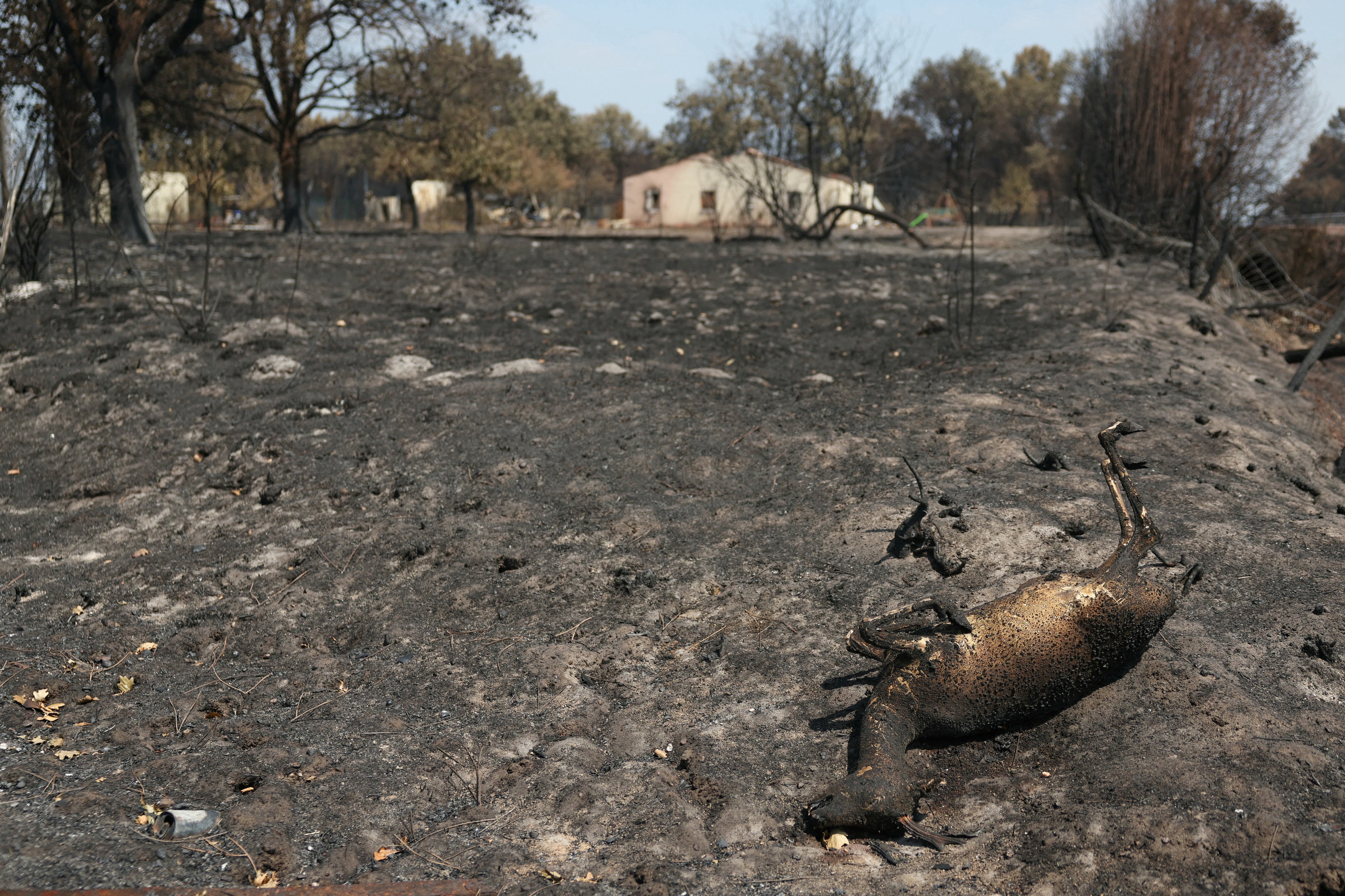 Habitats in Andernos-les-Bains, 40km from Bordeaux, were razed (AFP/Getty)