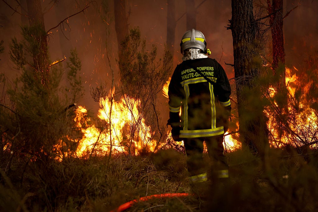 independent.co.uk - Sybille de La Hamaide - Wildfires burn near France's Bordeaux as drought puts vineyards under pressure