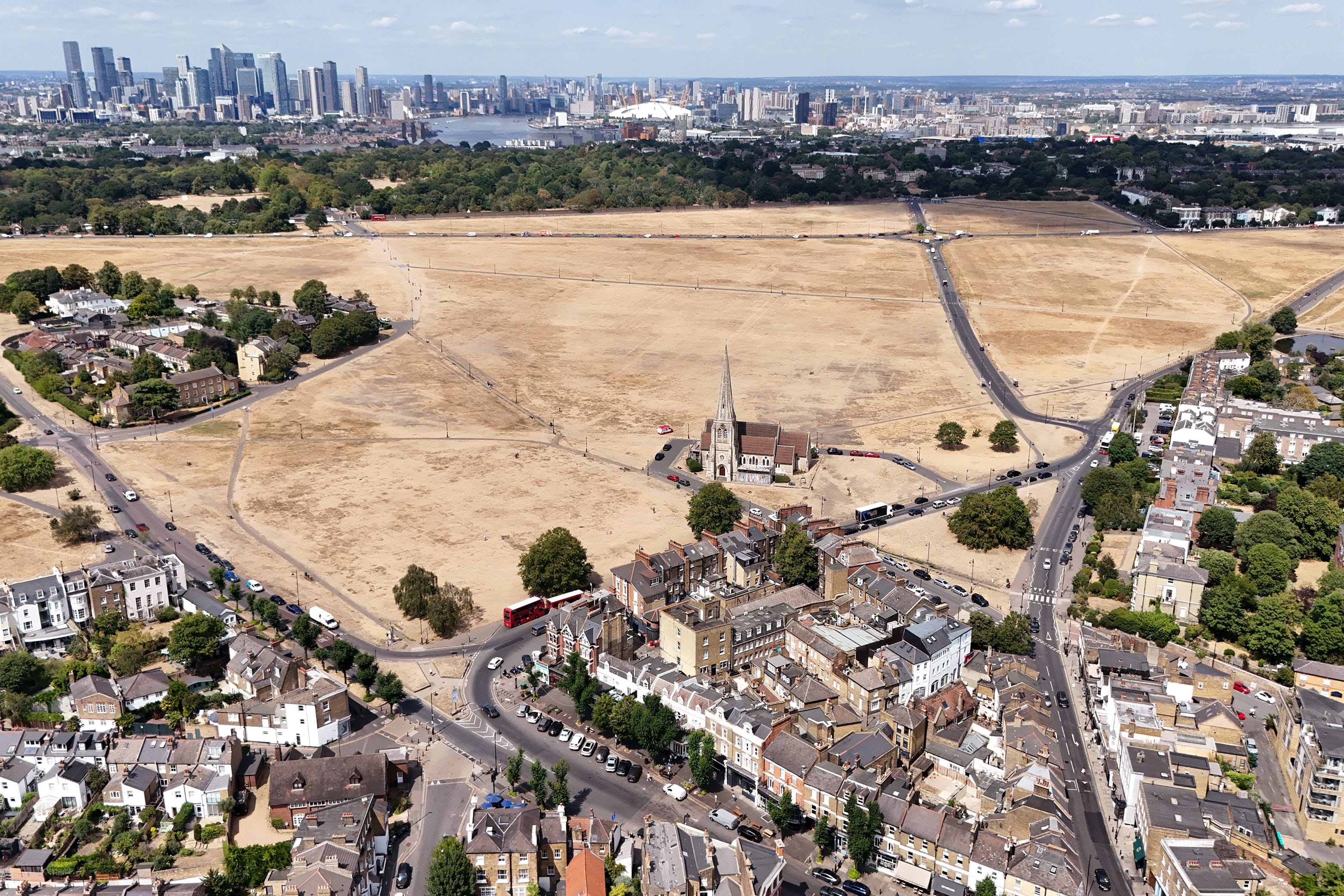 The parched grass of Blackheath in London (Yui Mok /PA) (PA Wire)