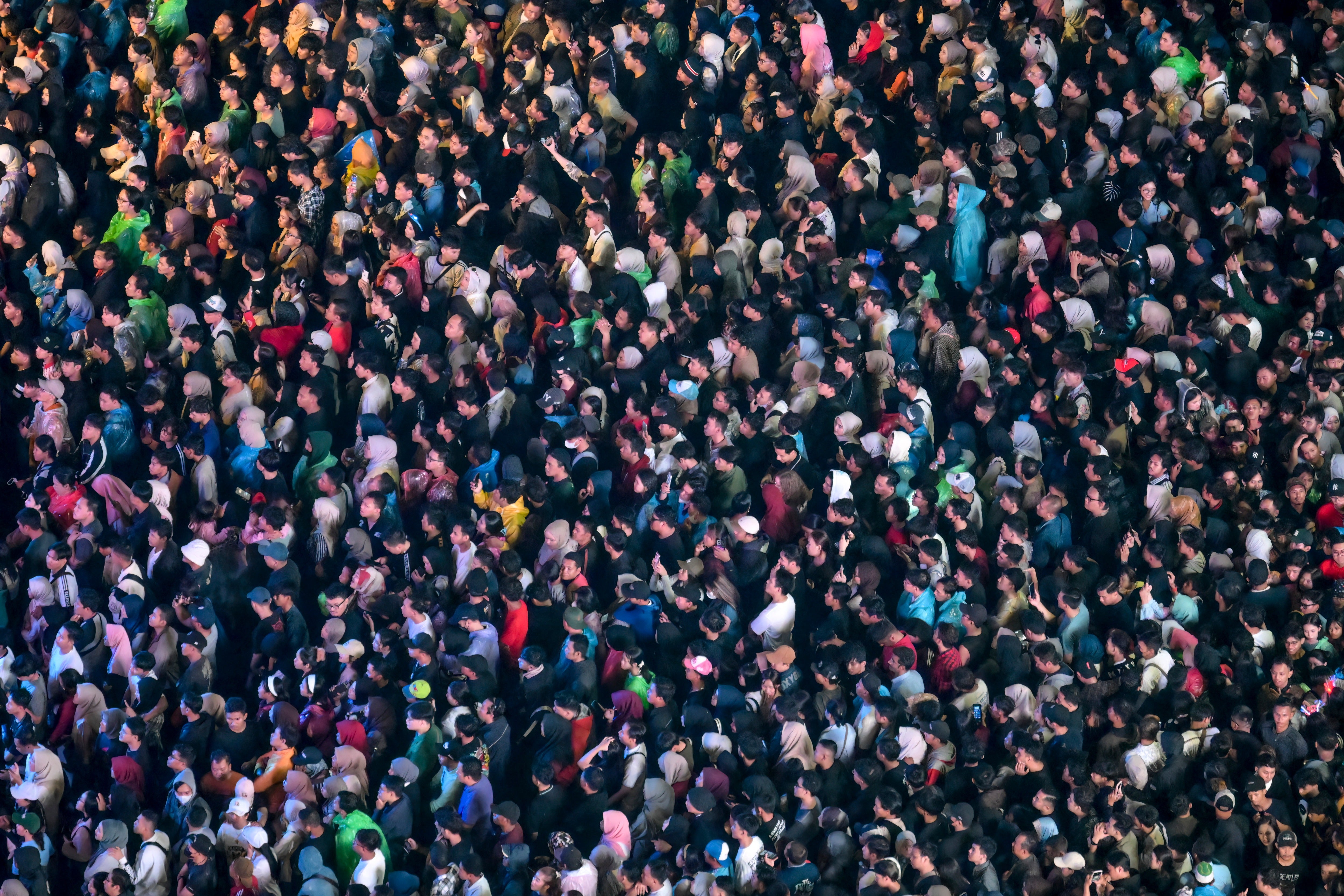 Study reveals halving human population gradually can help Earth