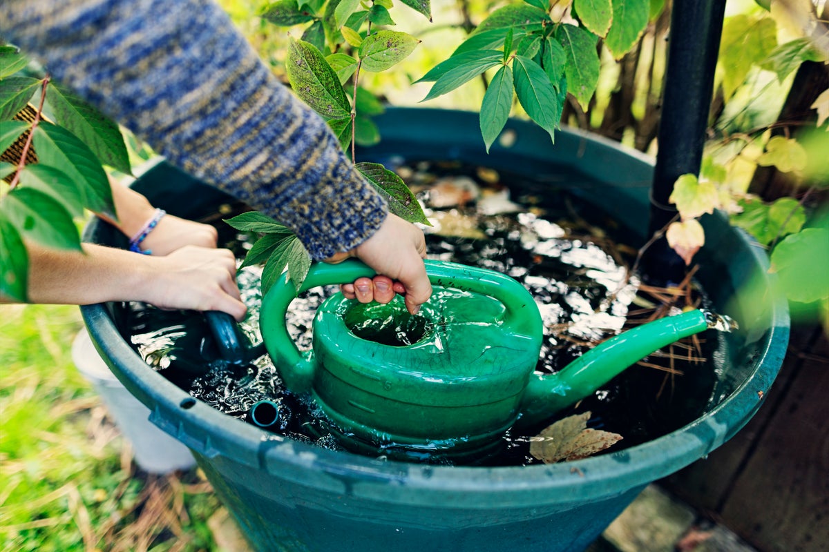 Five simple ways to use less water at home in a drought Five simple ways to use less water at home in a drought