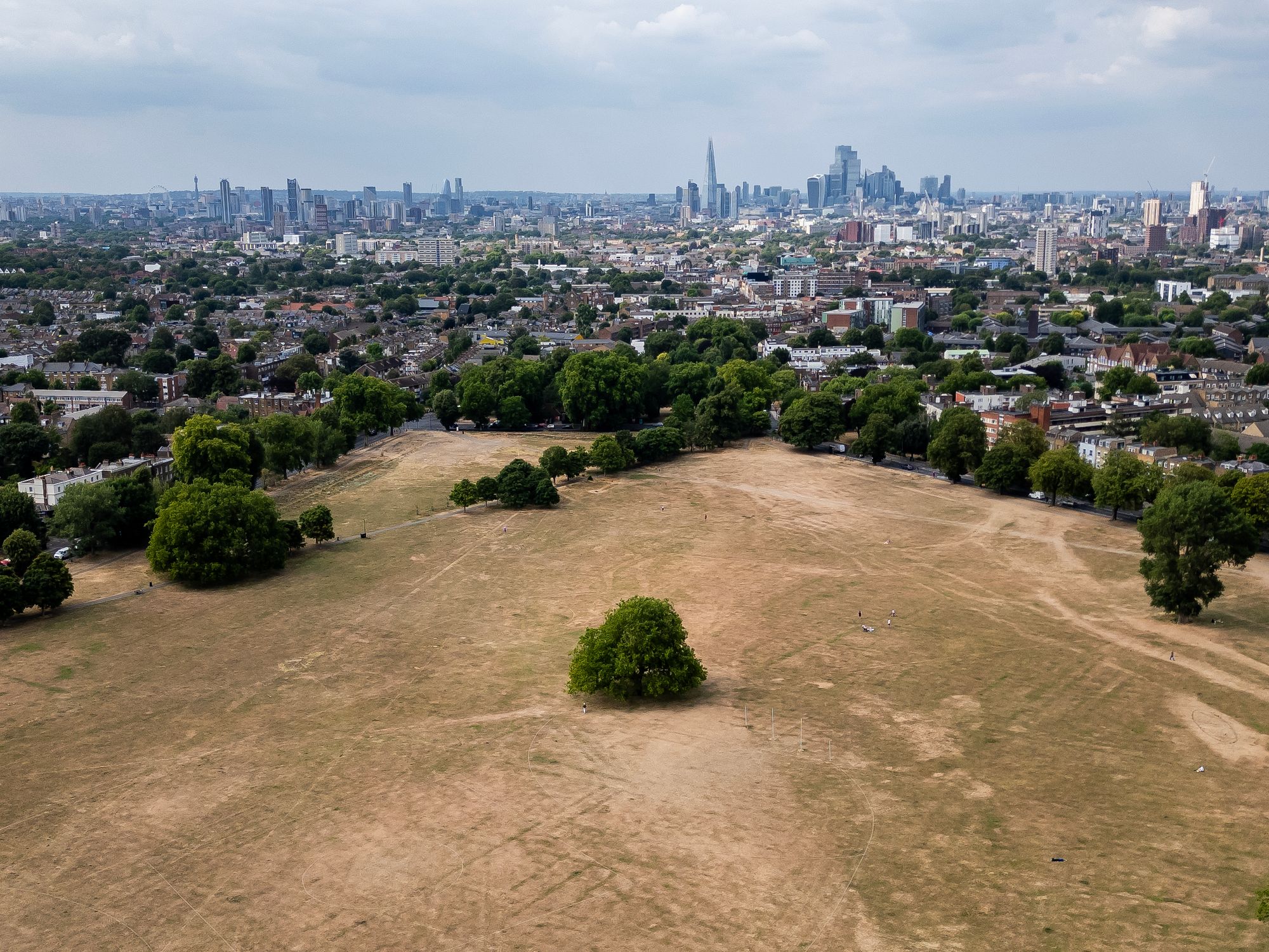 Drought declared for half of England – see if your area is affected