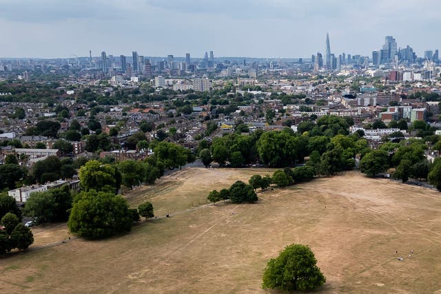 Drought declared for half of England – see if your area is affected