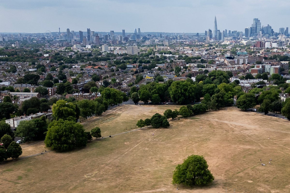 Metade da Inglaterra em seca – descubra se a sua área foi afetada