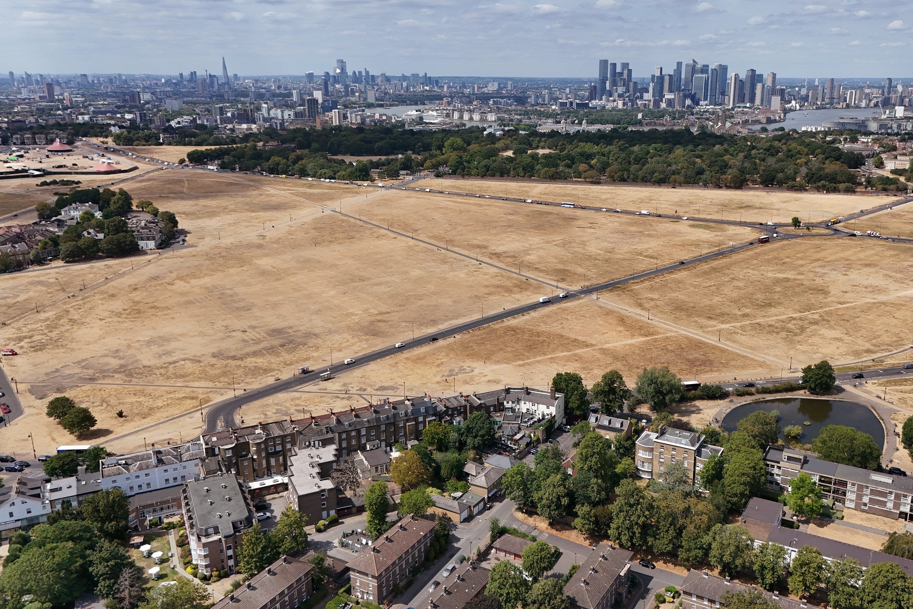 The parched grass of Blackheath in London (Yui Mok/PA) (PA Wire)