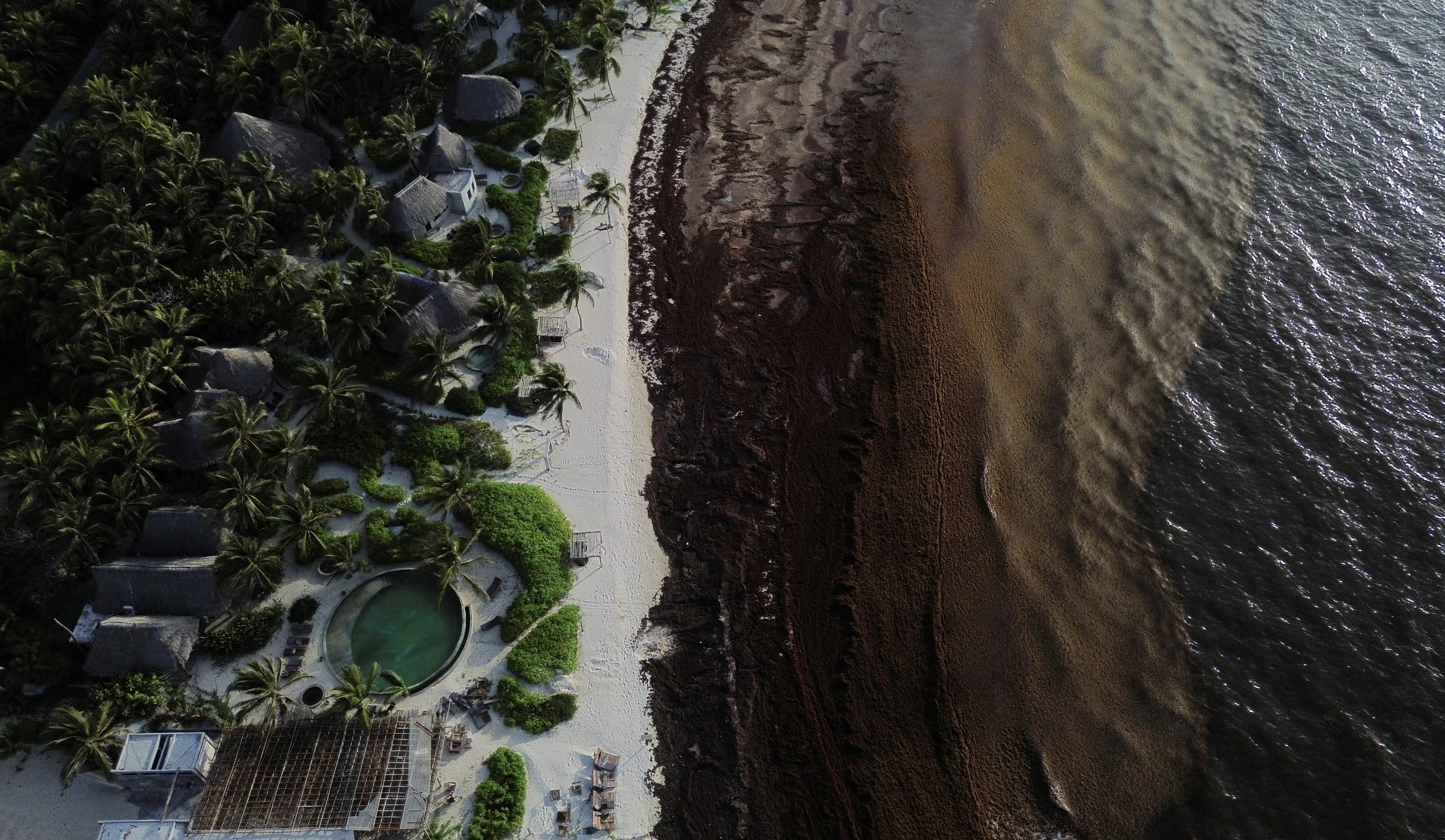 Since 2011, summer scenes like this have played out on beaches in South Florida and throughout the Caribbean