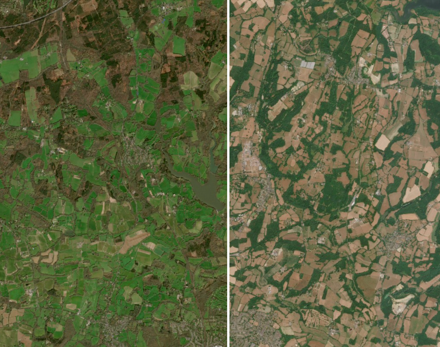Satellite pictures reveal huge impact of &lsquo;exceptional&rsquo; UK drought and heatwaves