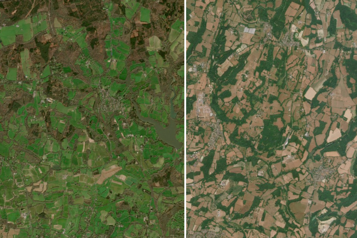 Satellite pictures reveal huge impact of ‘exceptional’ UK drought and heatwaves Satellite pictures reveal huge impact of ‘exceptional’ UK drought and heatwaves