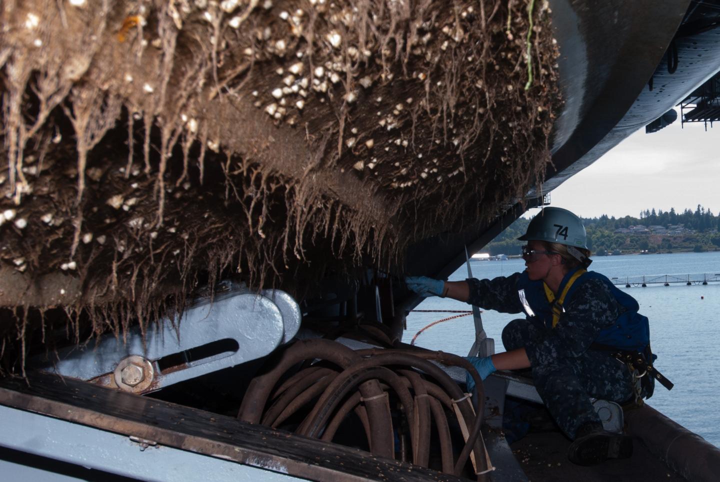 Sailor scrapes barnacles from the bottom of a rigid-hull inflatable boat