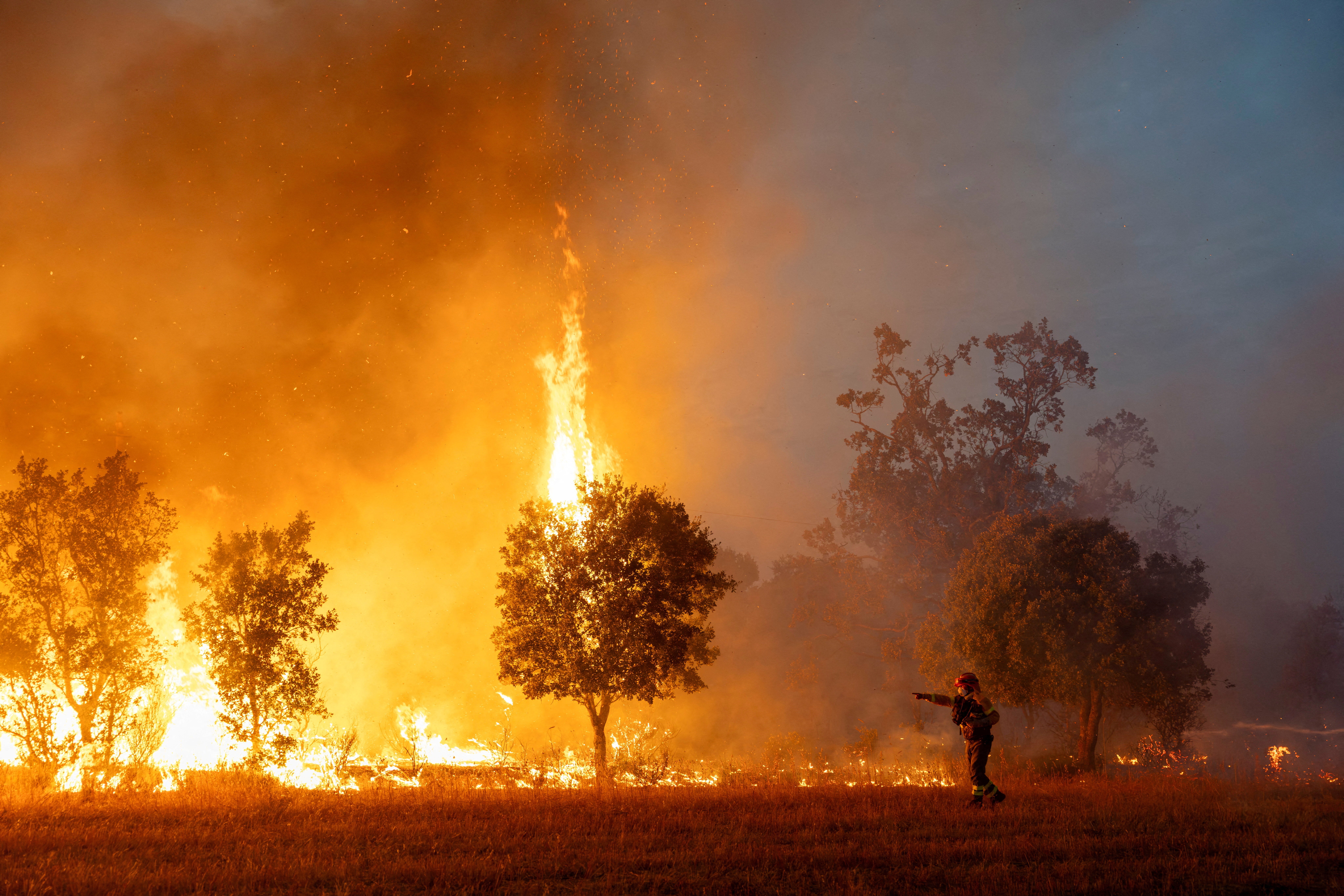 Ein Feuerwehrmann löscht einen fortschreitenden Waldbrand in der Nähe von Formariz in der spanischen Provinz Zamora