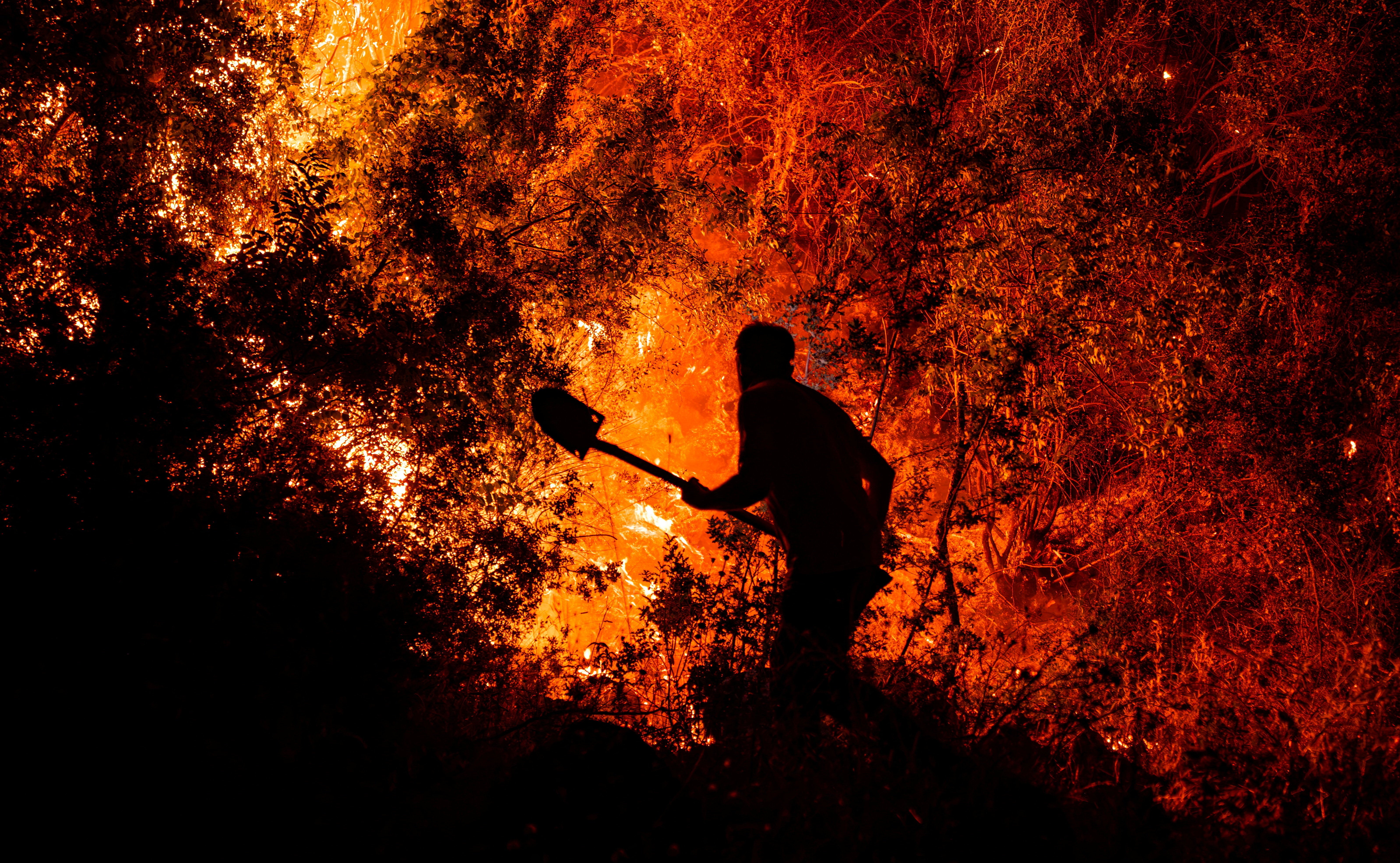 A villager helps in the battle against a wildfire in the Turkish province of Mugla