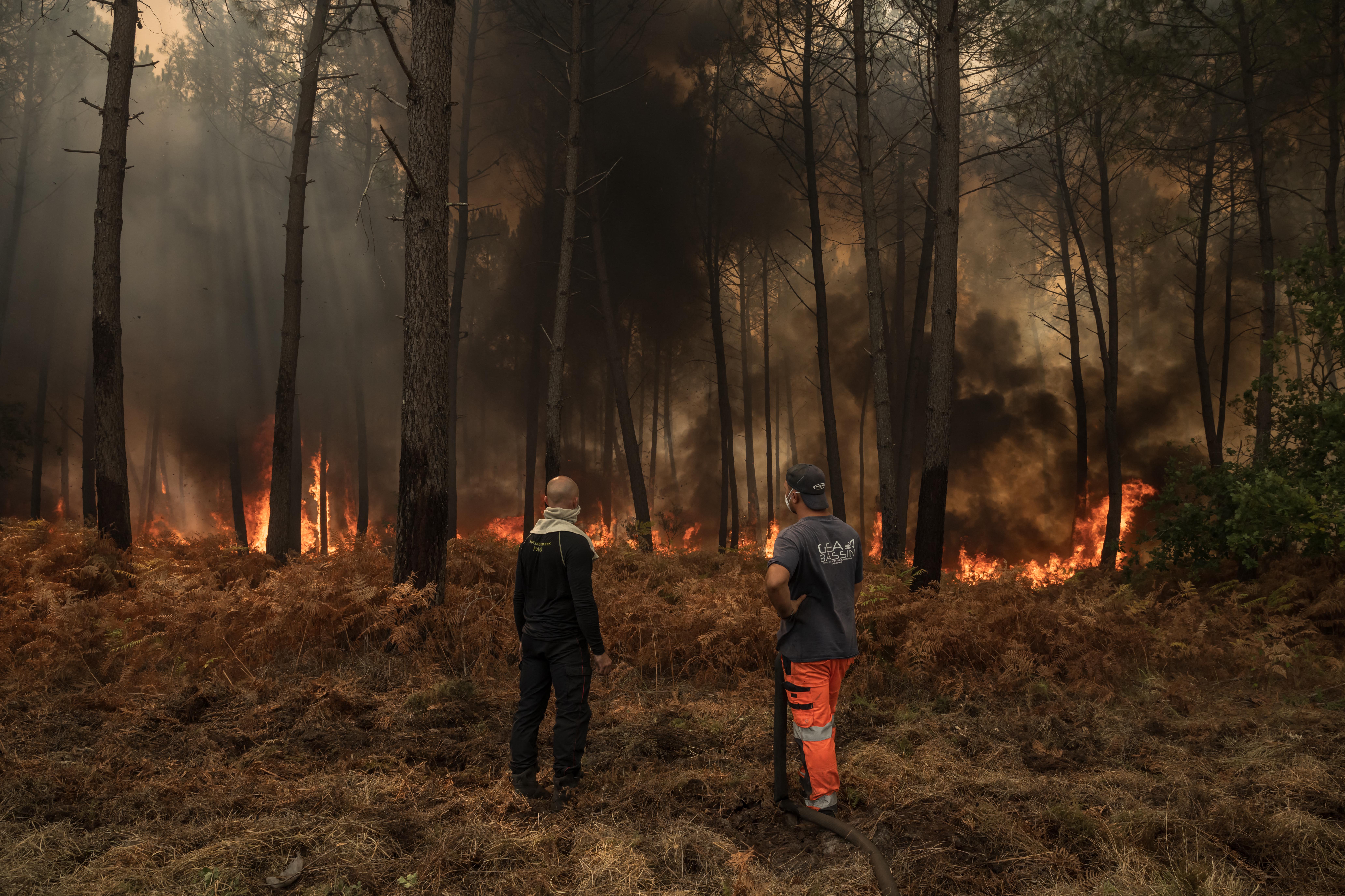 Volunteers help firefighters battle a forest blaze in the French commune of Lanton