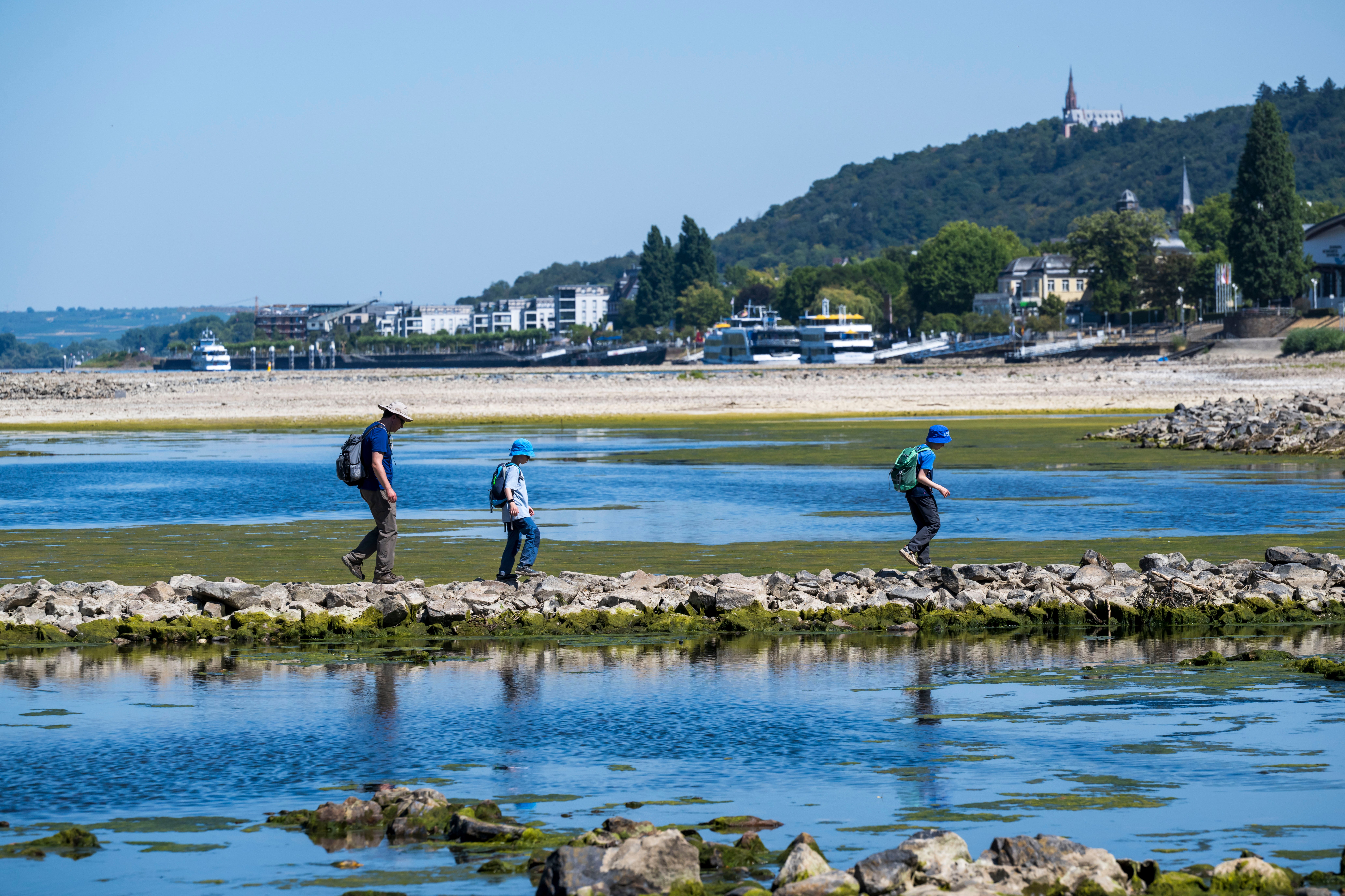 Tourist walk over a sandbar of the Rhine near Bingen, Germany
