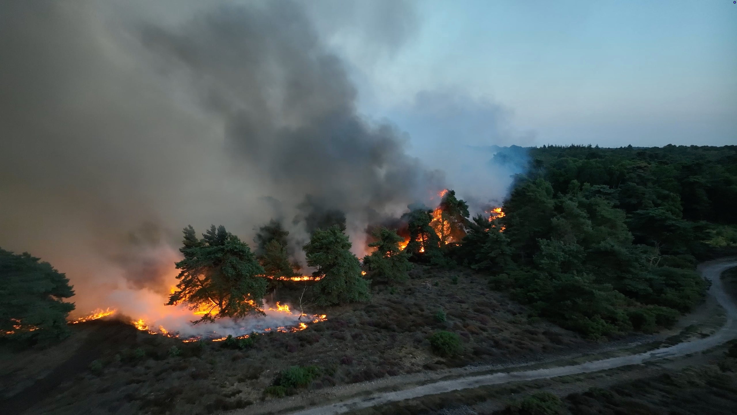 Suffolk wildfire latest: Blaze spreads to size of 210 football pitches as nuclear power plant on alert