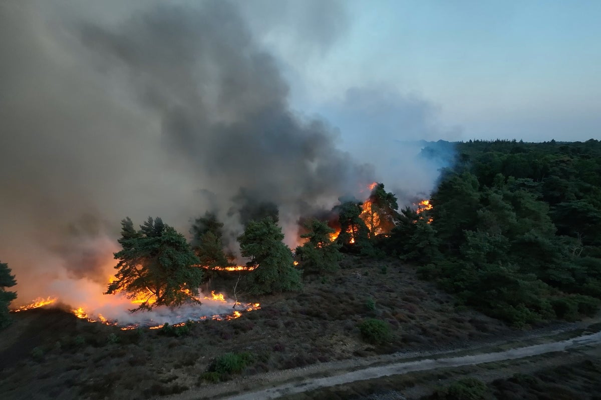 Último incêndio florestal em Suffolk: bombeiros combatem incêndio perto de usina nuclear em condições de seca por dias