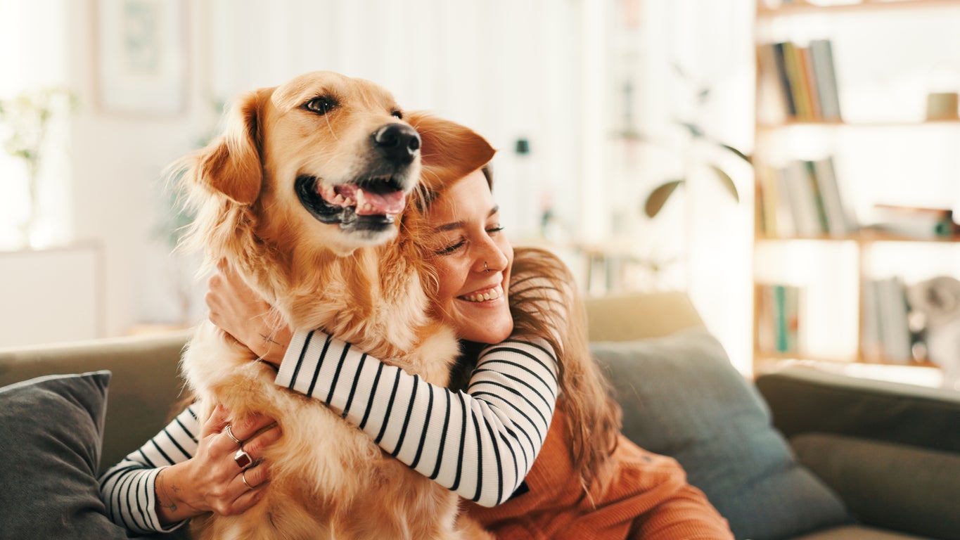 Is your dog happy? A veterinarian explains ten common misconceptions about their behavior 